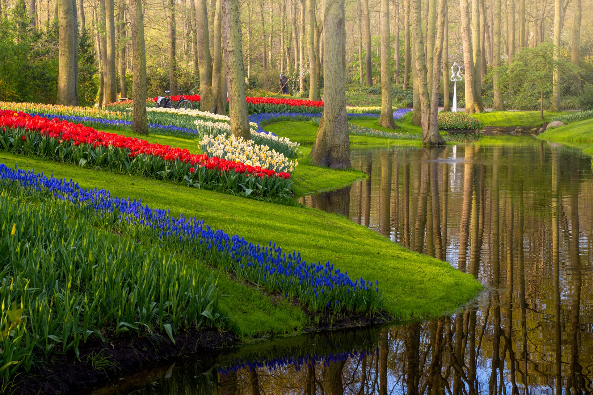 Keukenhof Tulip Garden