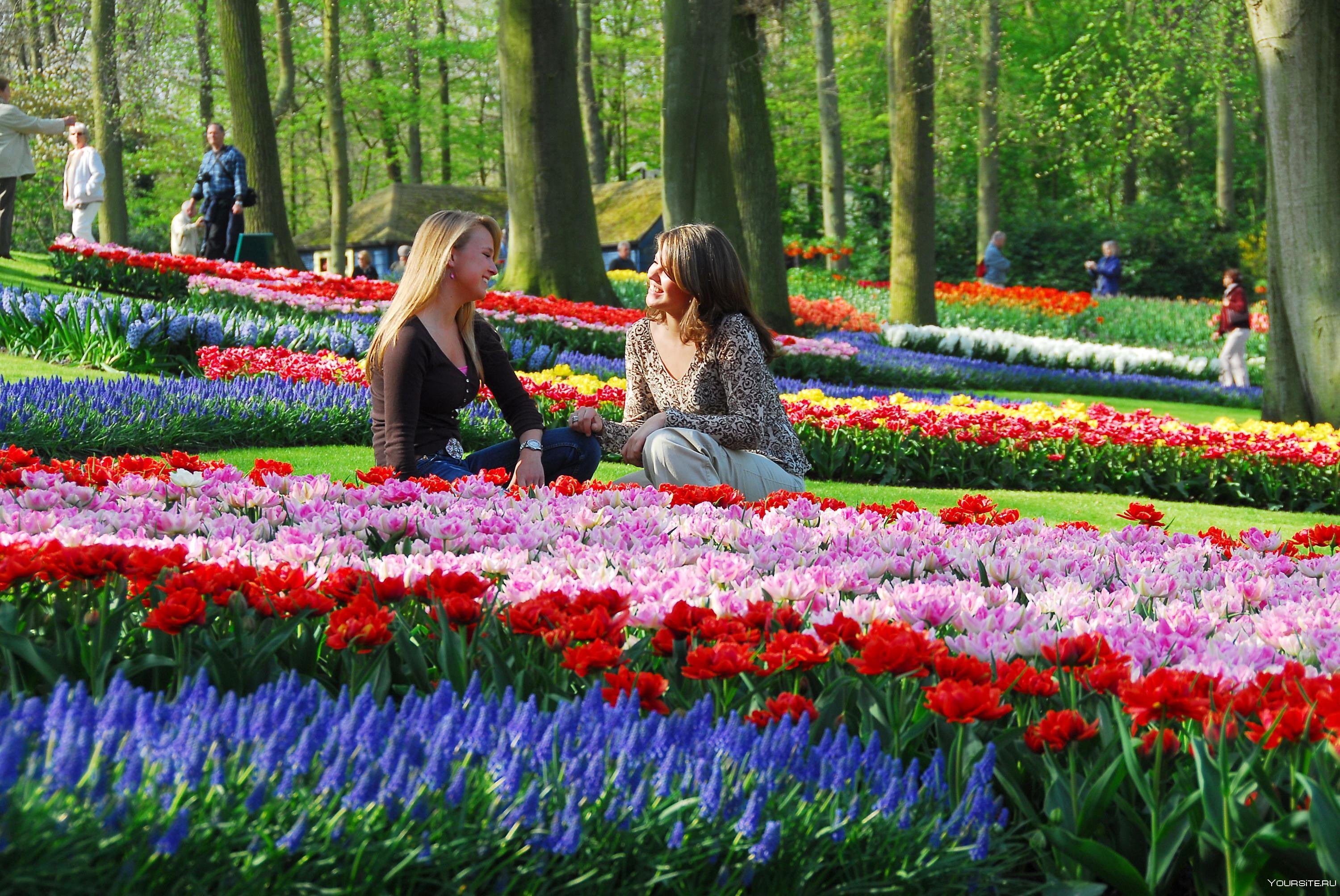 Парк красивая девушка. Keukenhof Gardens Нидерланды. Койкенхоф парк тюльпанов. Парк «Кекенхоф» (Keukenhof) летом. Парк цветов в Голландии Кекенхоф.