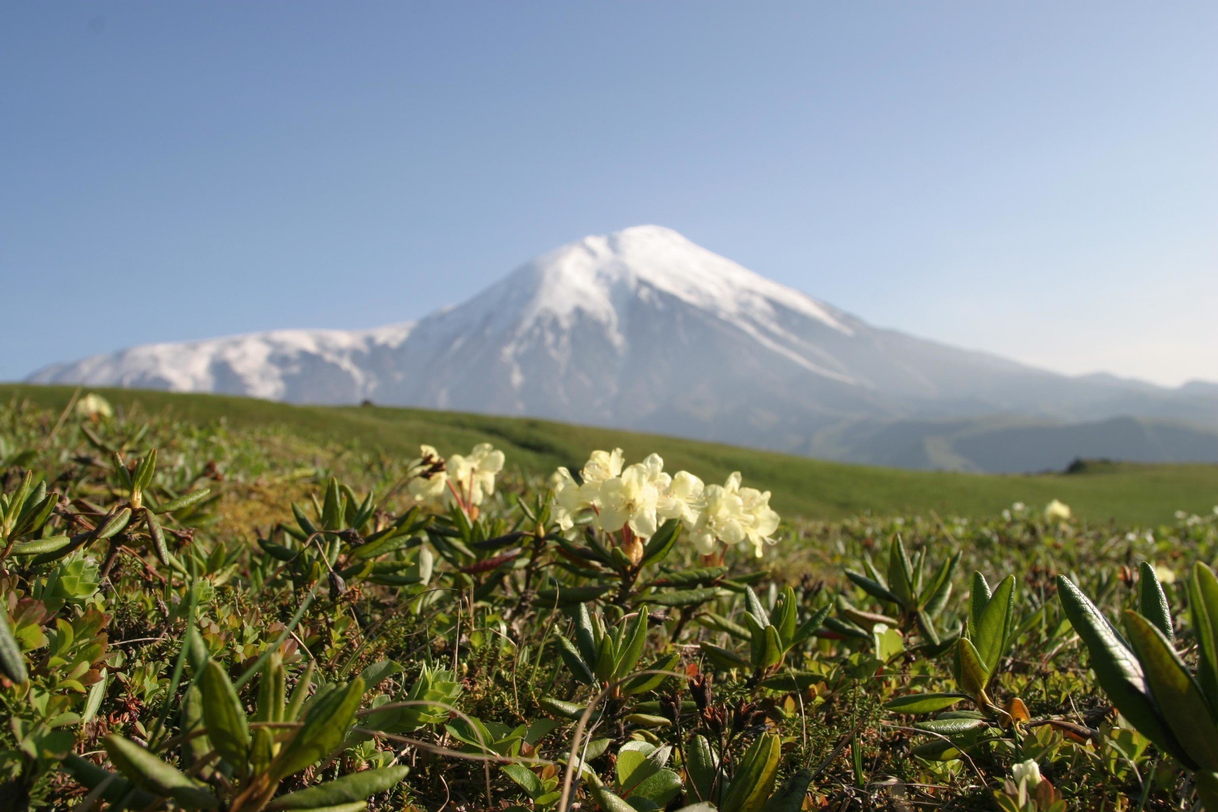 Южно Камчатский природный парк