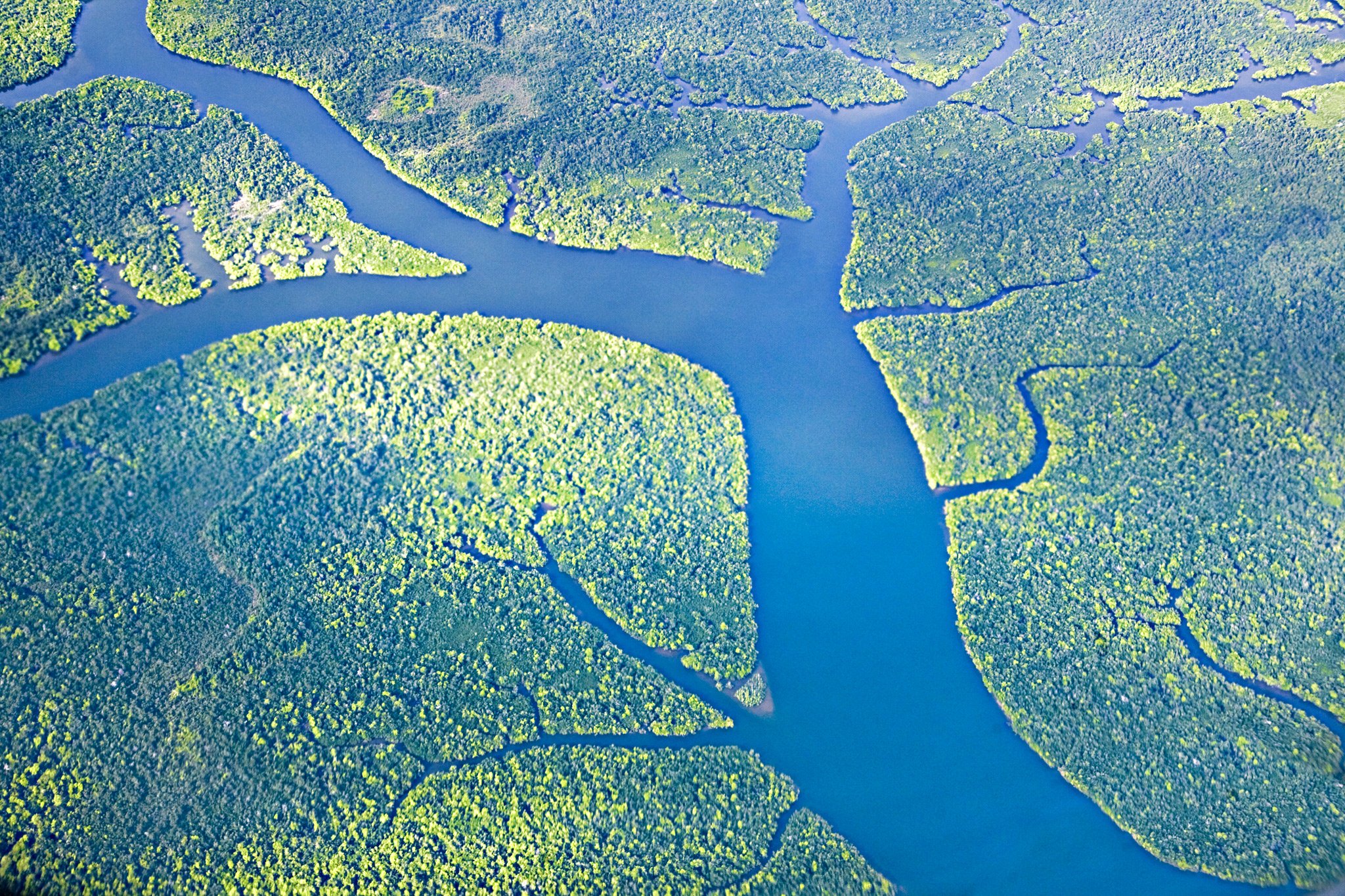 Реки сутки. Малайзия река Раджанг. Река Раджанг. Реки Малайзии. River Flows.