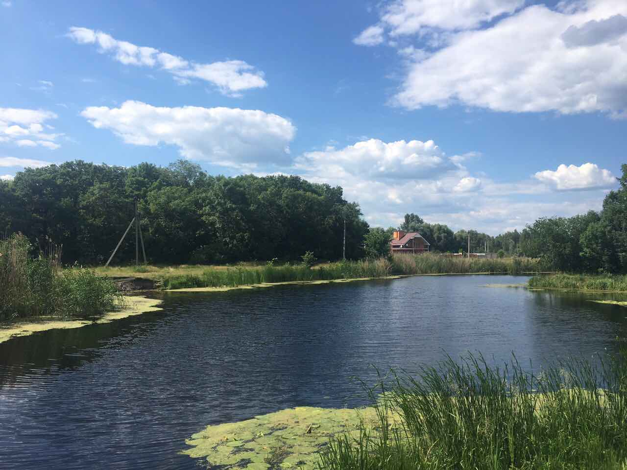 Харьковские реки. Ворскла Полтава река. Ворскла река Ахтырка. Река Харьков. Коломак река.