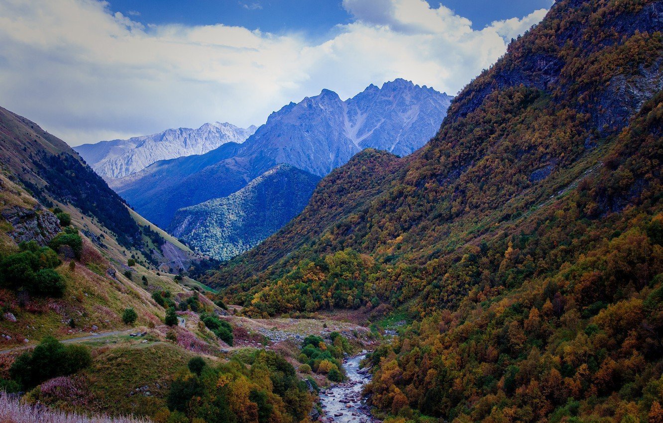 Лес Северной Осетии