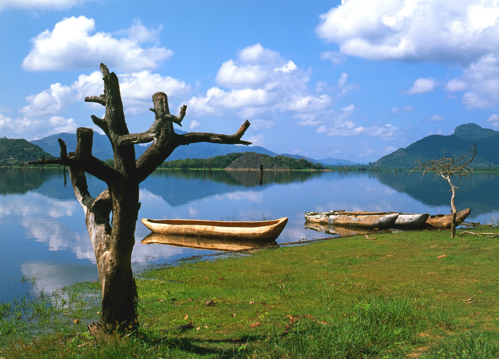 Озера шри ланки. Кандалама Шри Ланка. Озеро Шри Ланка. Озеро Кандалама Шри Ланка заповедник. Потрясающие пейзажи Шри Ланки.