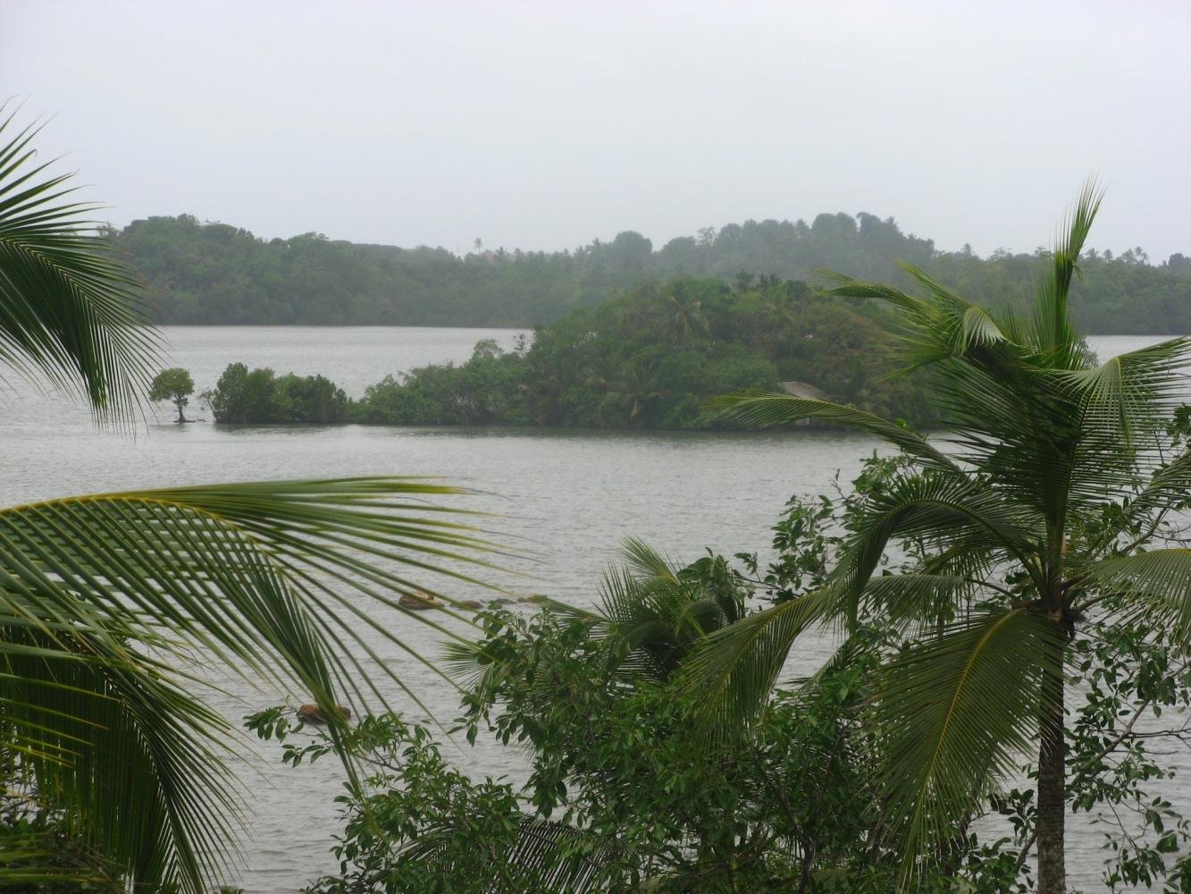 Озера шри ланки. Озеро Коггала Шри Ланка. Озеро Галла Шри Ланка. Озеро Когалла крокодилы Коггала. Озеро Коггала Шри Ланка животные.
