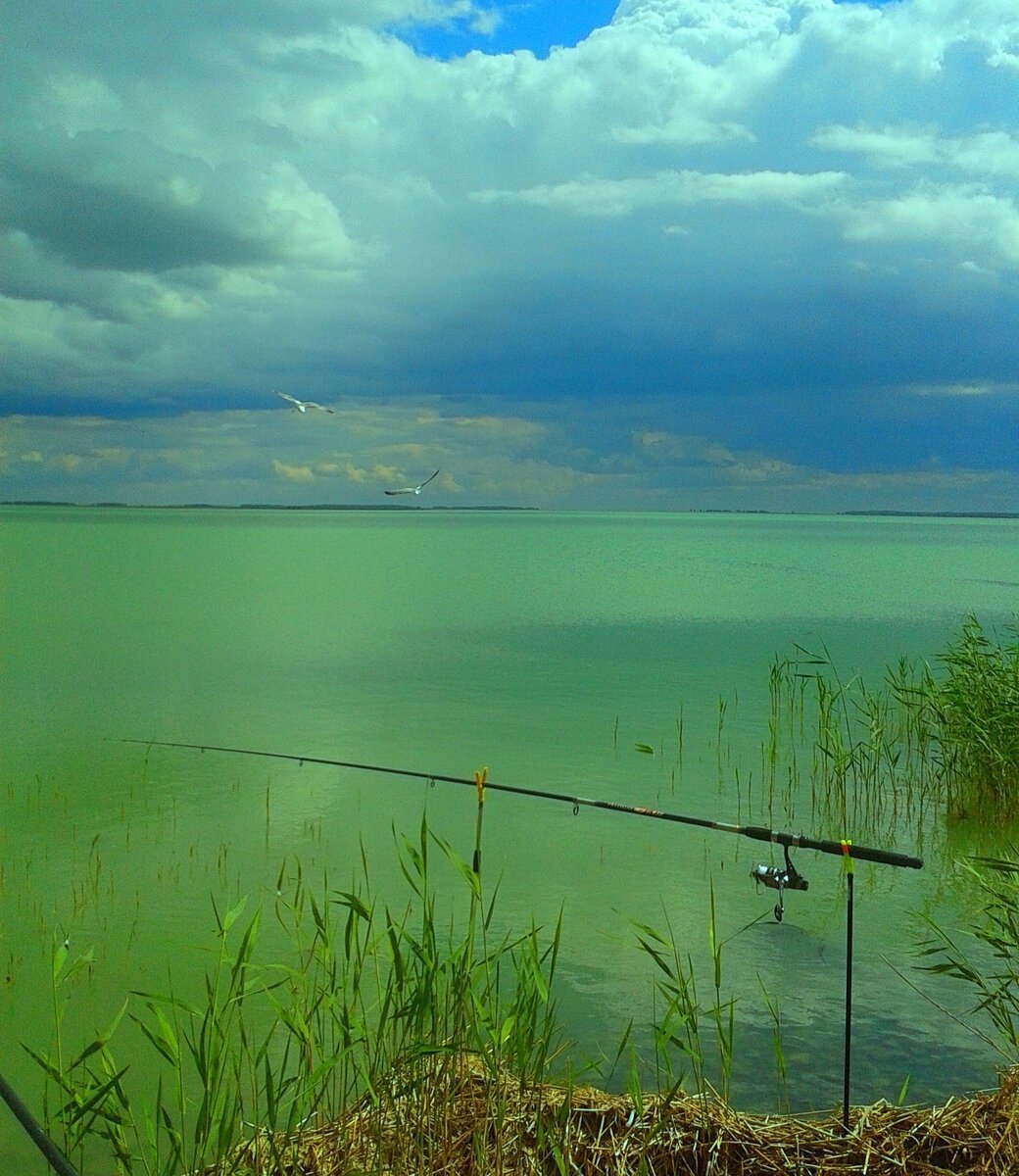 Рыбалка 1 озеро