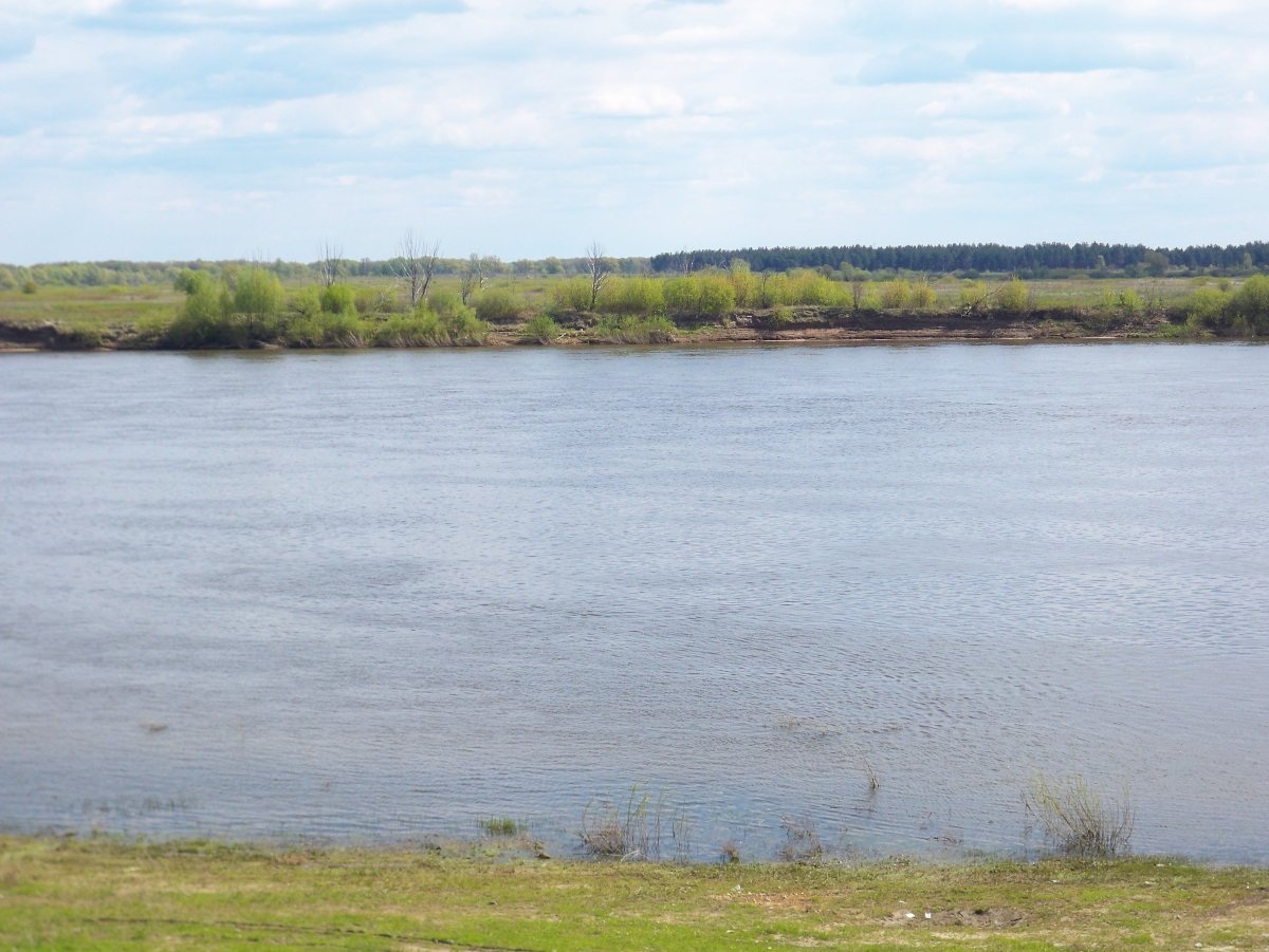 Уровень реки в муроме. Посерда (река). Река Мура. Устье реки Созь. Речка в Сасово крестьян.