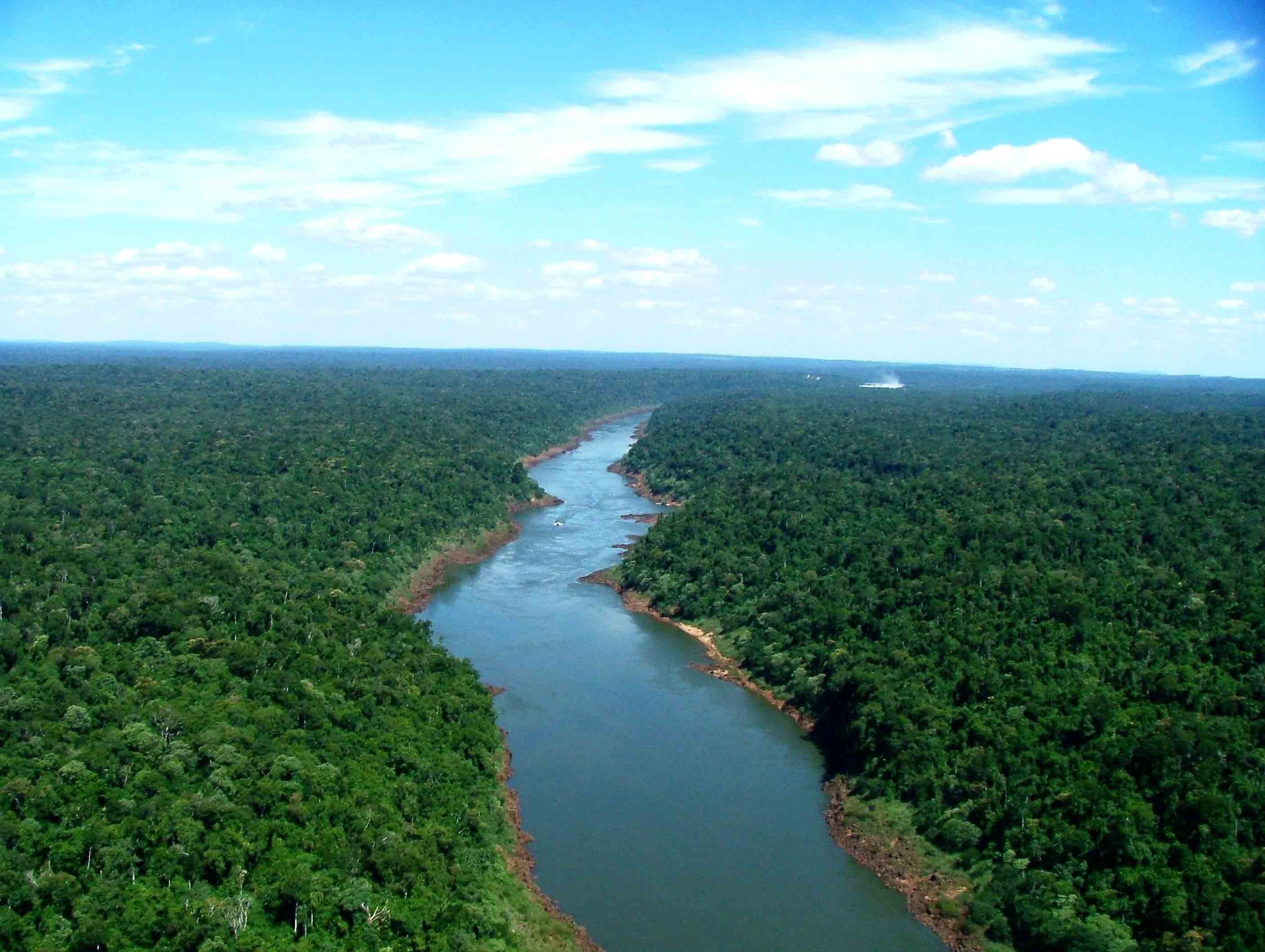 Самая длинная река бассейна атлантического океана. Аргентина река Парана. Река Парана Южная Америка. Река Парана Бразилия. Парагвай река Парана.