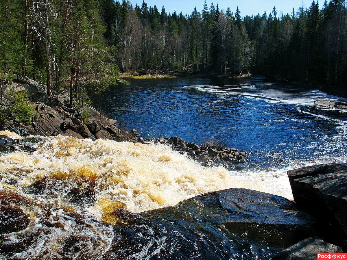 Пороги реки. Карелия Водла водопад. Порожистые реки Карелии. Река Понча Карелия. Водопады Карелии сплав.