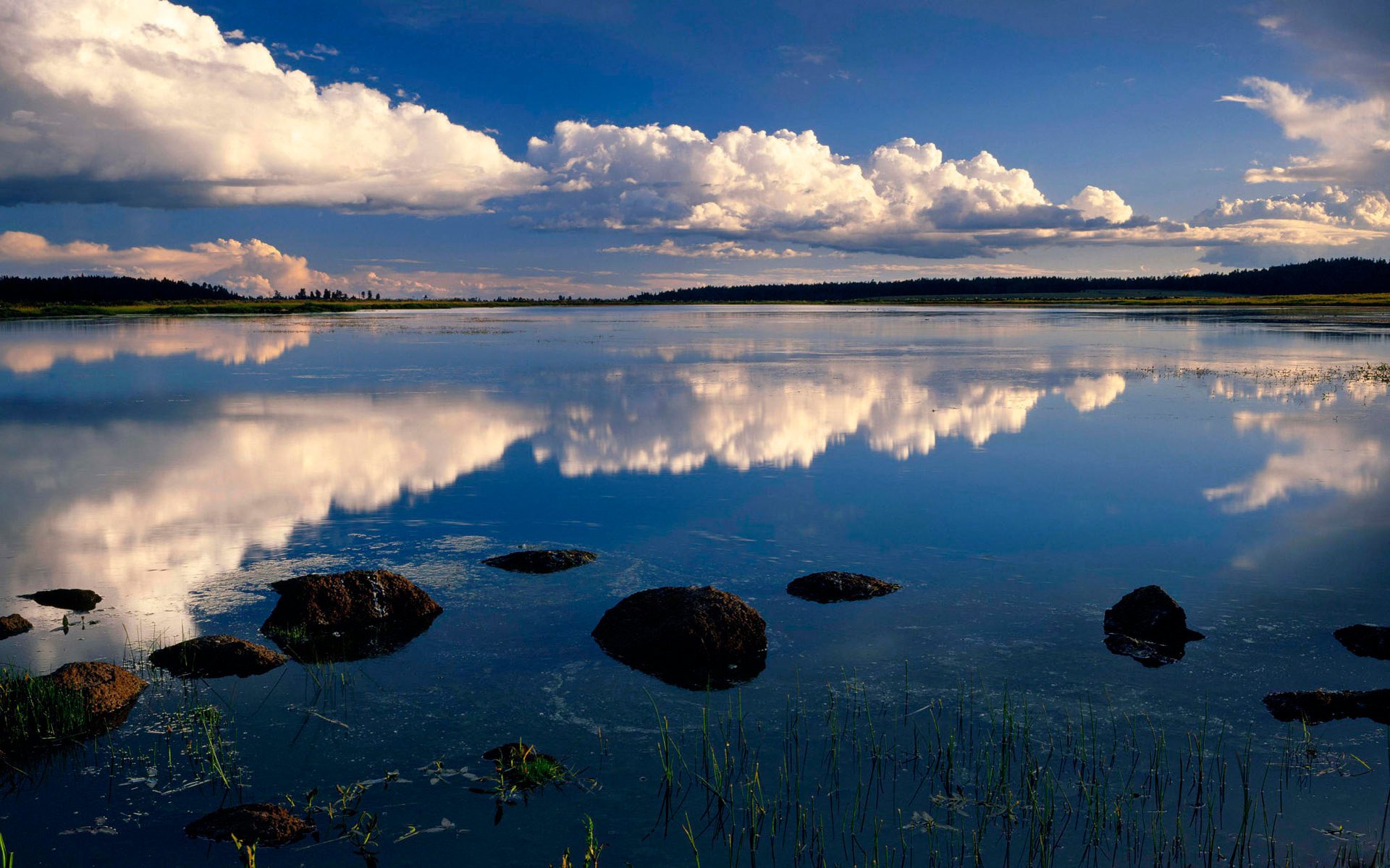 Там в озерах вода. Озеро Убинское. Озеро Убинское Новосибирская область. Малое Убинское озеро. Озеро Сюрзи Архангельская область.