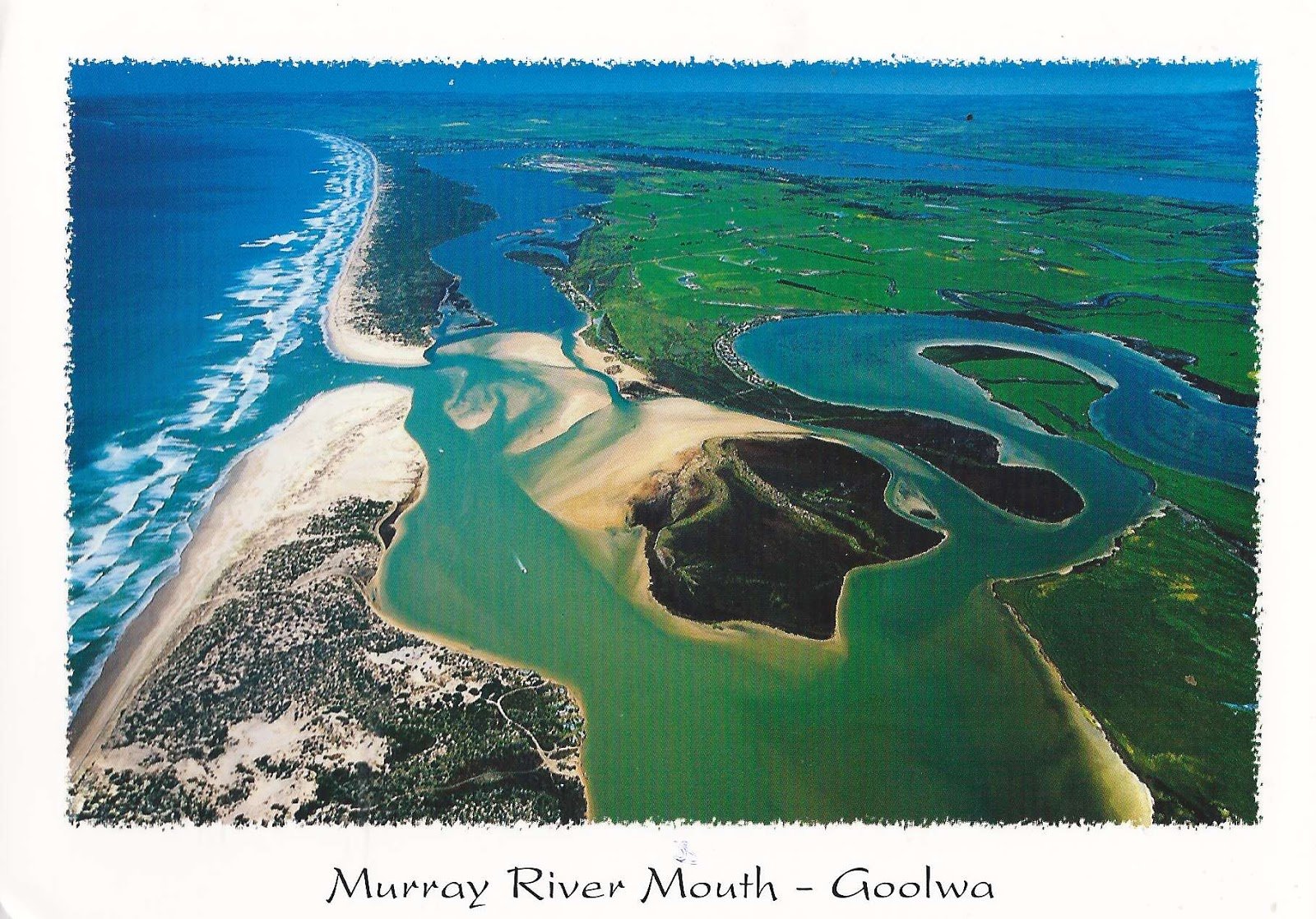 Река дарлинг полноводна круглый. Река Муррей в Австралии. Австралия река Муррей Дарлинг. Реки Дарлинг и Муррей. Река Муррей (Марри).