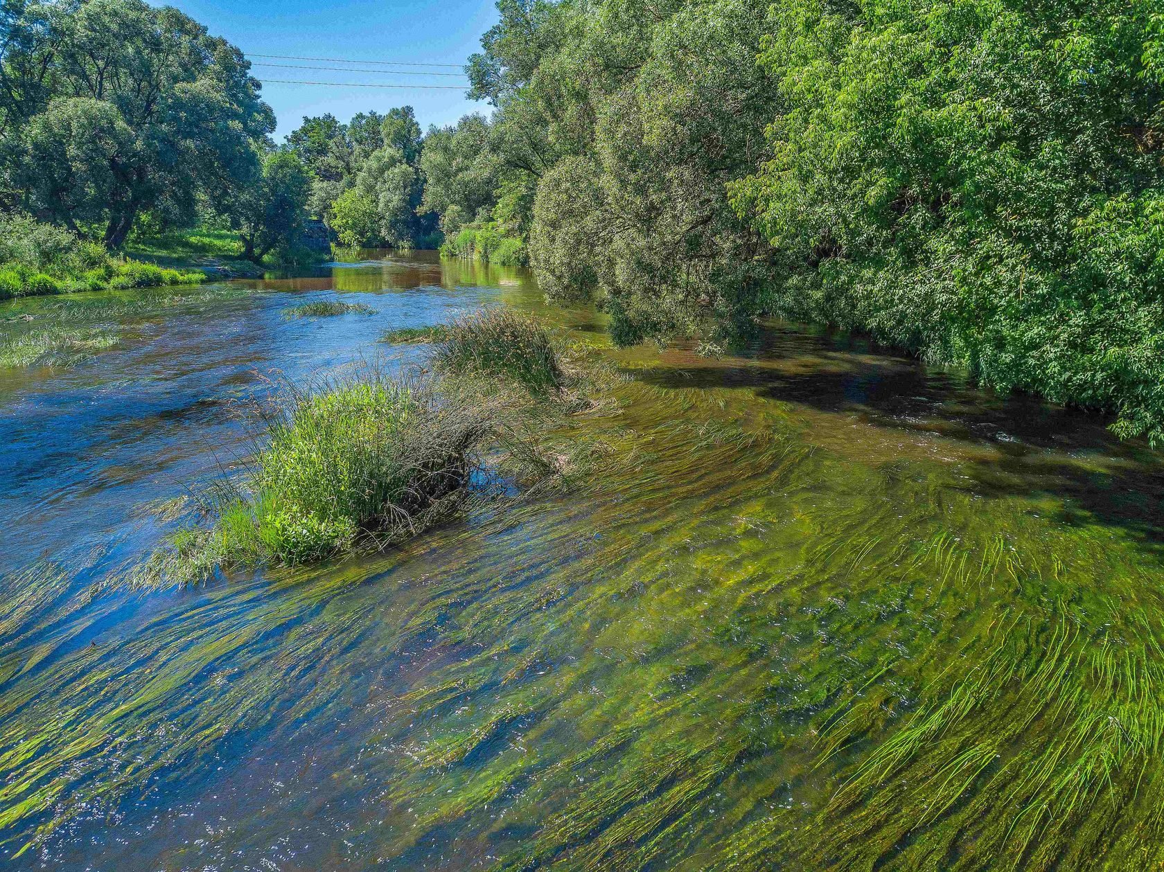 River калининград