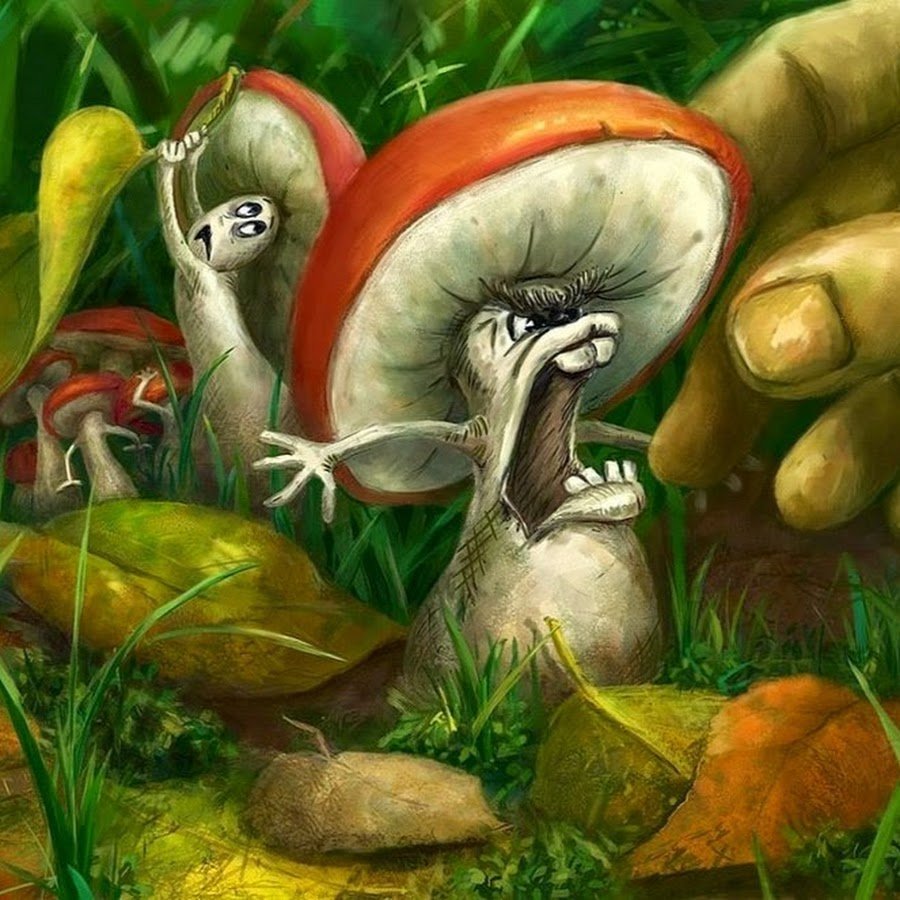 Грибы едят они глядят. Веселый гриб. Грибы фэнтези. Живые грибы:. Грибы арт.