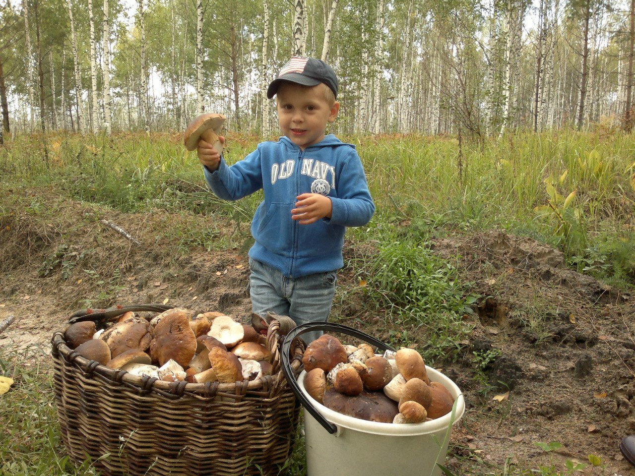 Побольше собирай. Сбор грибов в лесу. Что за гриб. Дети собирают грибы. Дети собирают грибы в лесу.