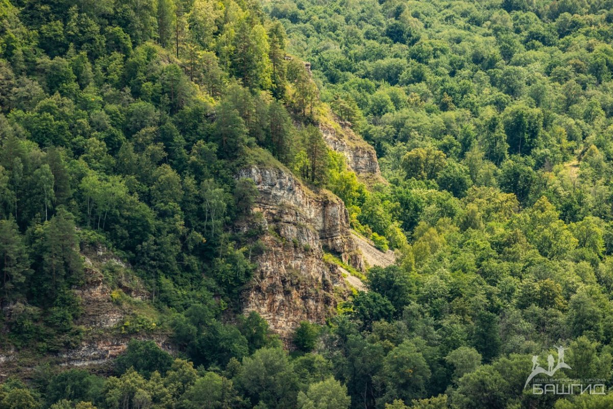 Гора бужа тау