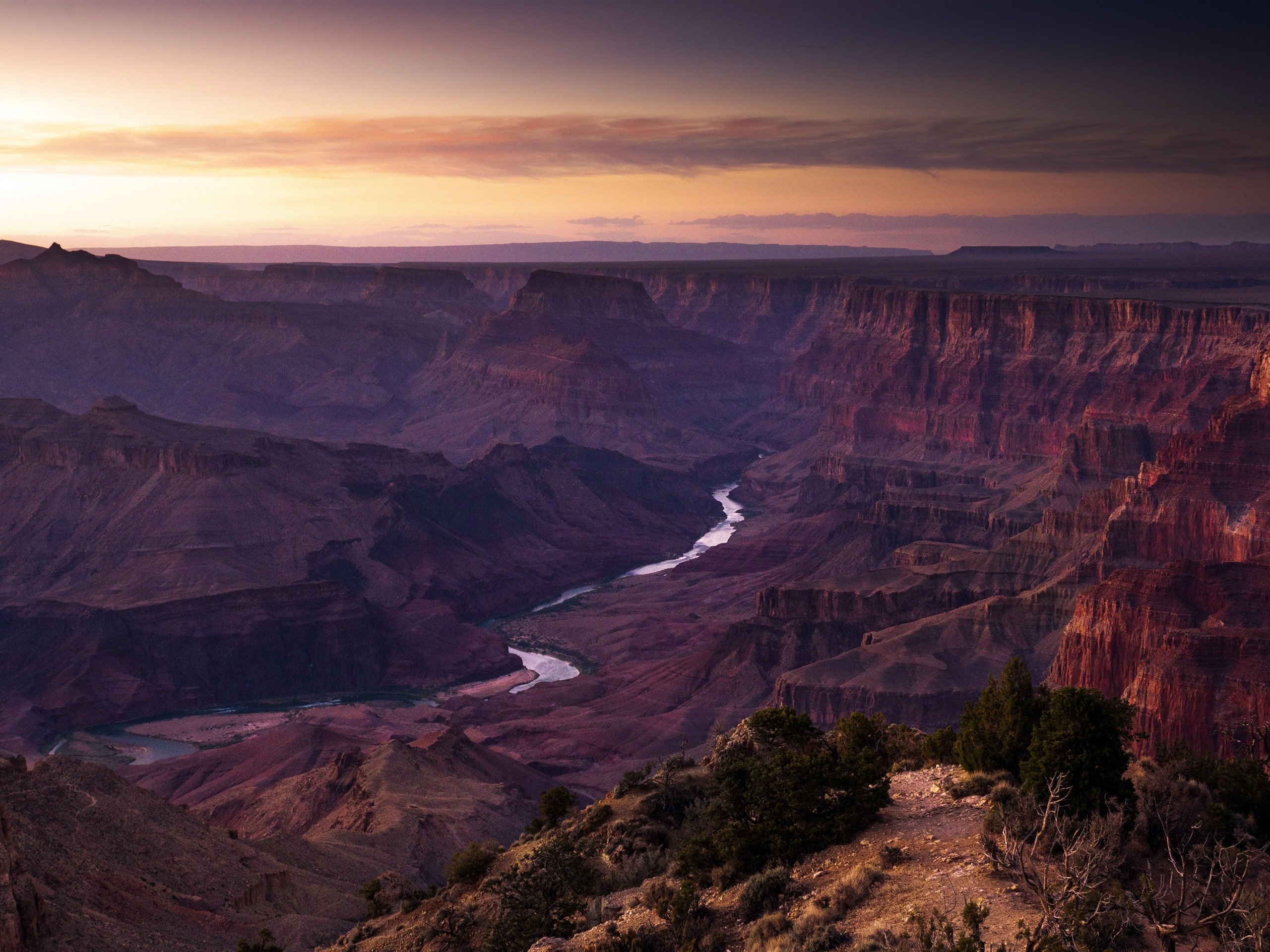 Mule Grand Canyon