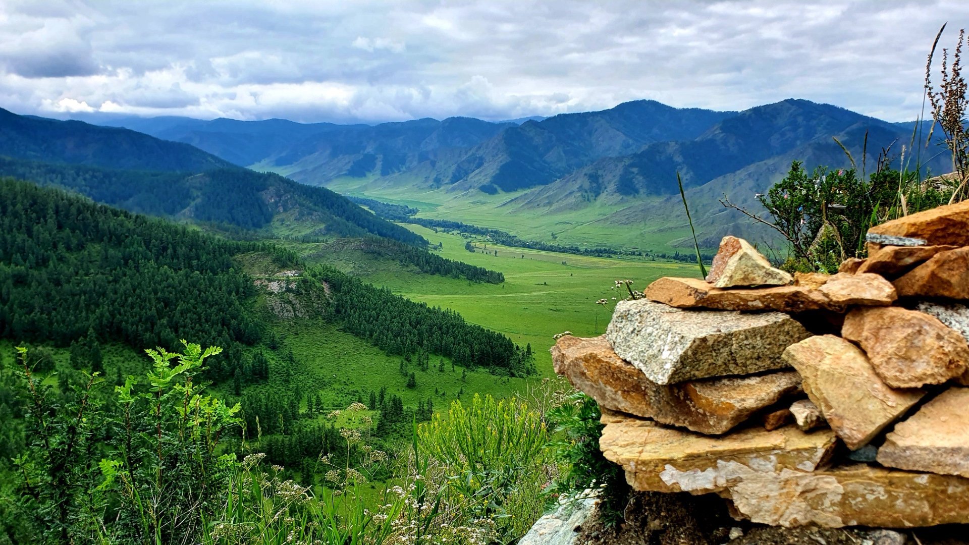 Российский алтайский край. Каменные грибы Алтай. Алтай Велес горный Алтай. Красные ворота горный Алтай. Зеленые горы Алтая.