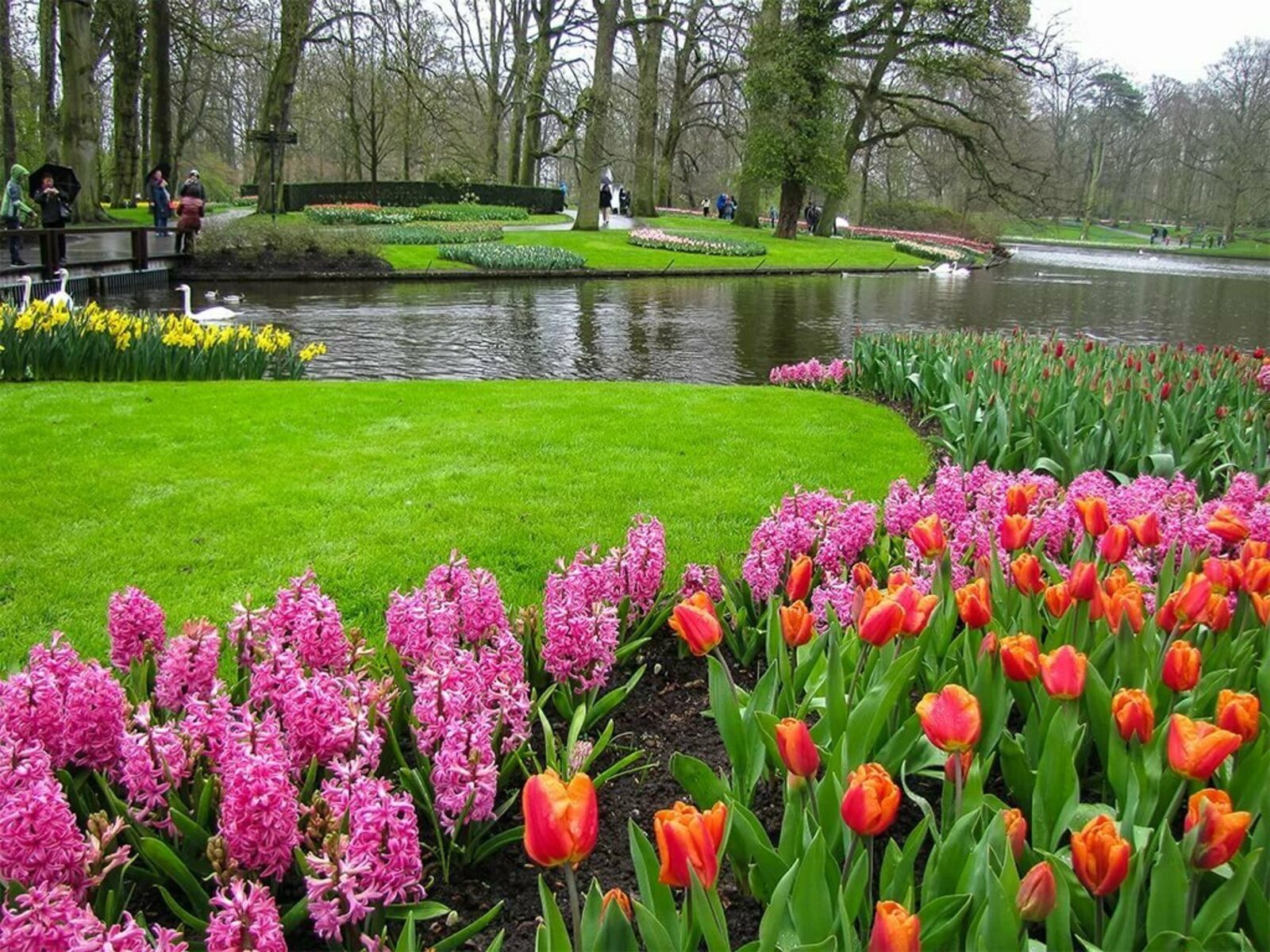сады голландии
