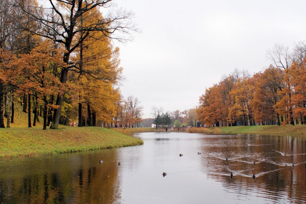 Екатерининский парк пруды в Пушкине