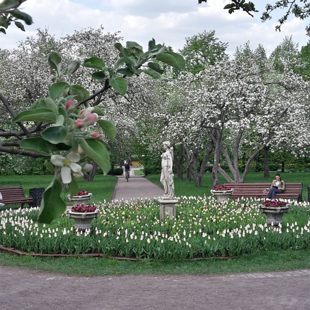Парк Коломенское Москва Яблоневый сад