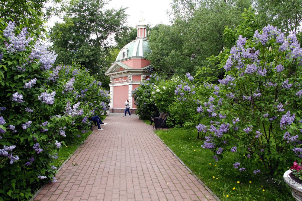 Екатерининский парк Достоевская