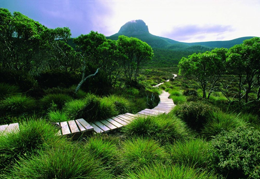 Природа острова Тасмания