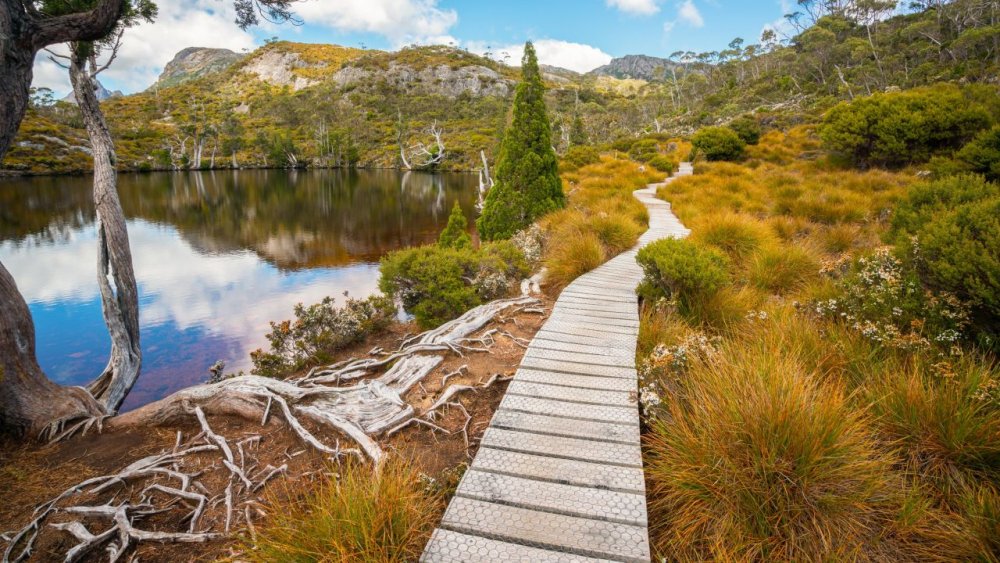 Ландшафт горы колыбели Тасмании, Австралии.