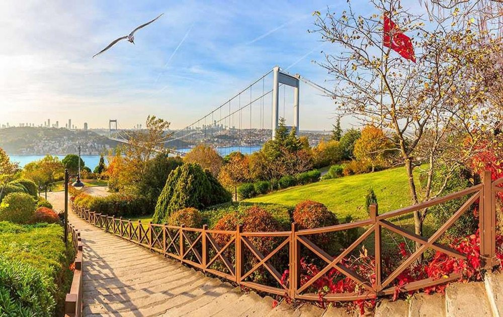Стамбул парк Ялова