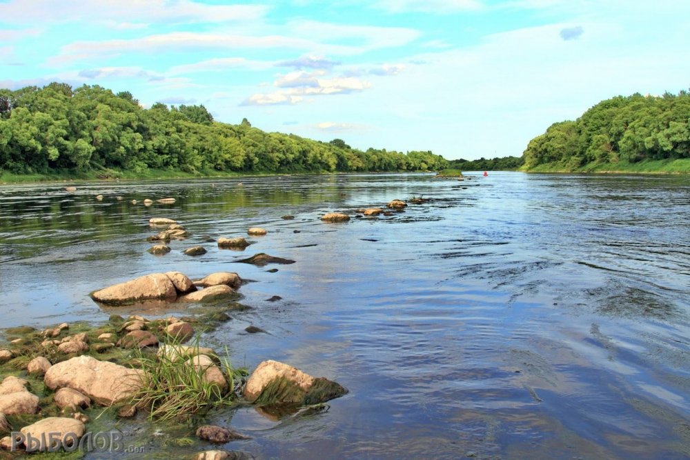 Самая известная река в Белоруссии