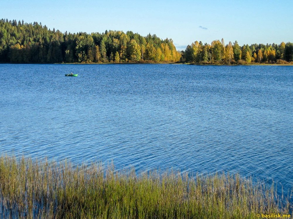 Озеро Андозеро Архангельская область