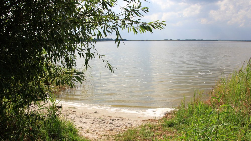 Озеро Жужгово Шумихинский