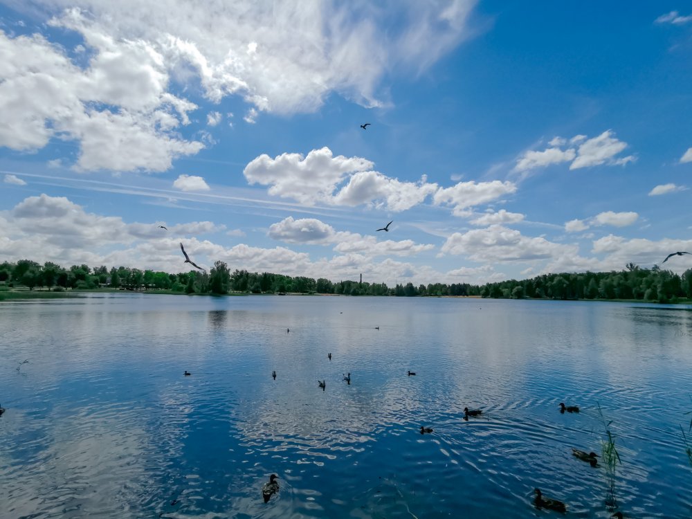 Озеро Тростенское Истринский район