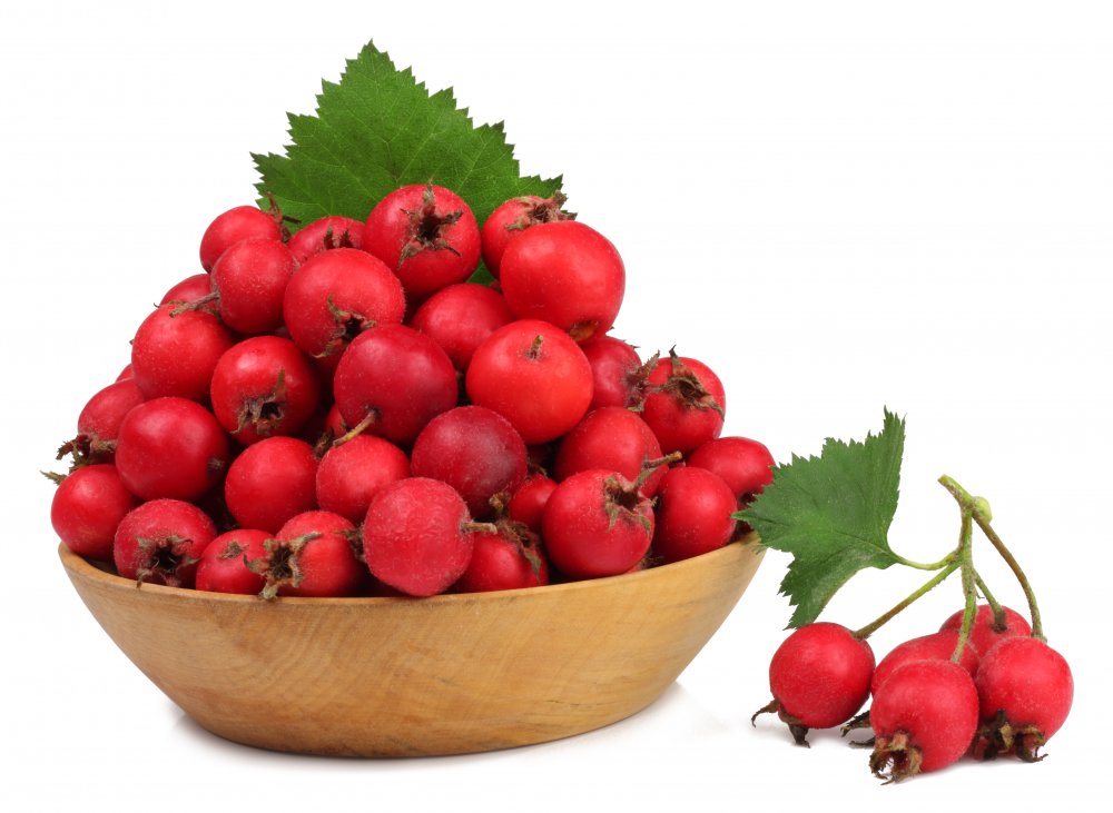 Боярка ягода полезные свойства :: Польза и вред