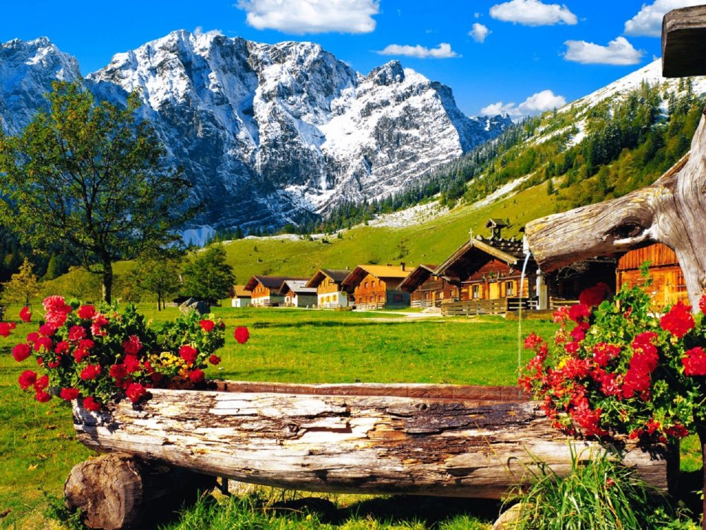 Альпийские поля в Швейцарии