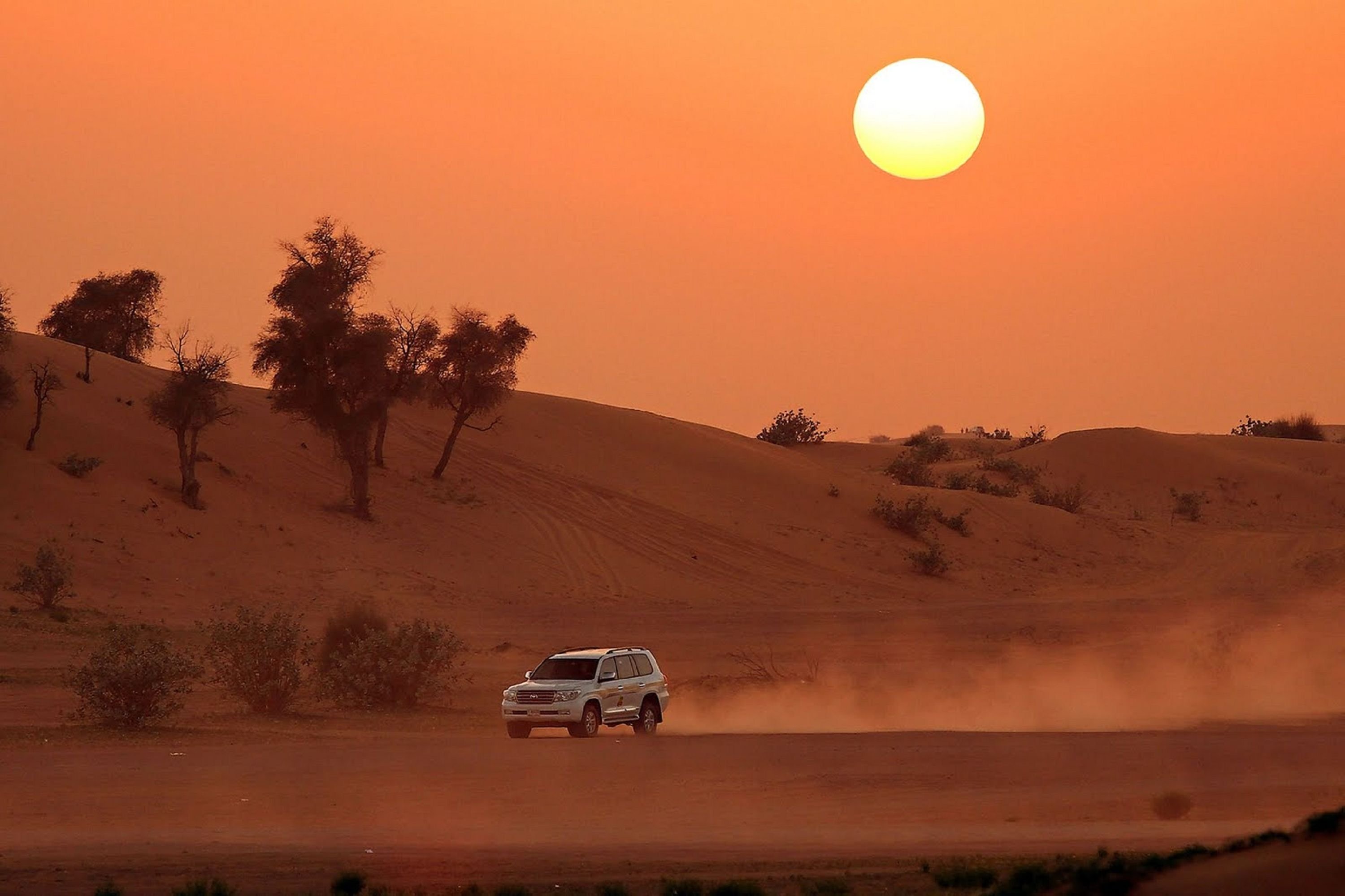 Desert safari. Дубай Дезерт сафари. Джип сафари Абу Даби. Джип сафари ОАЭ. Desert Safari Дубаи.