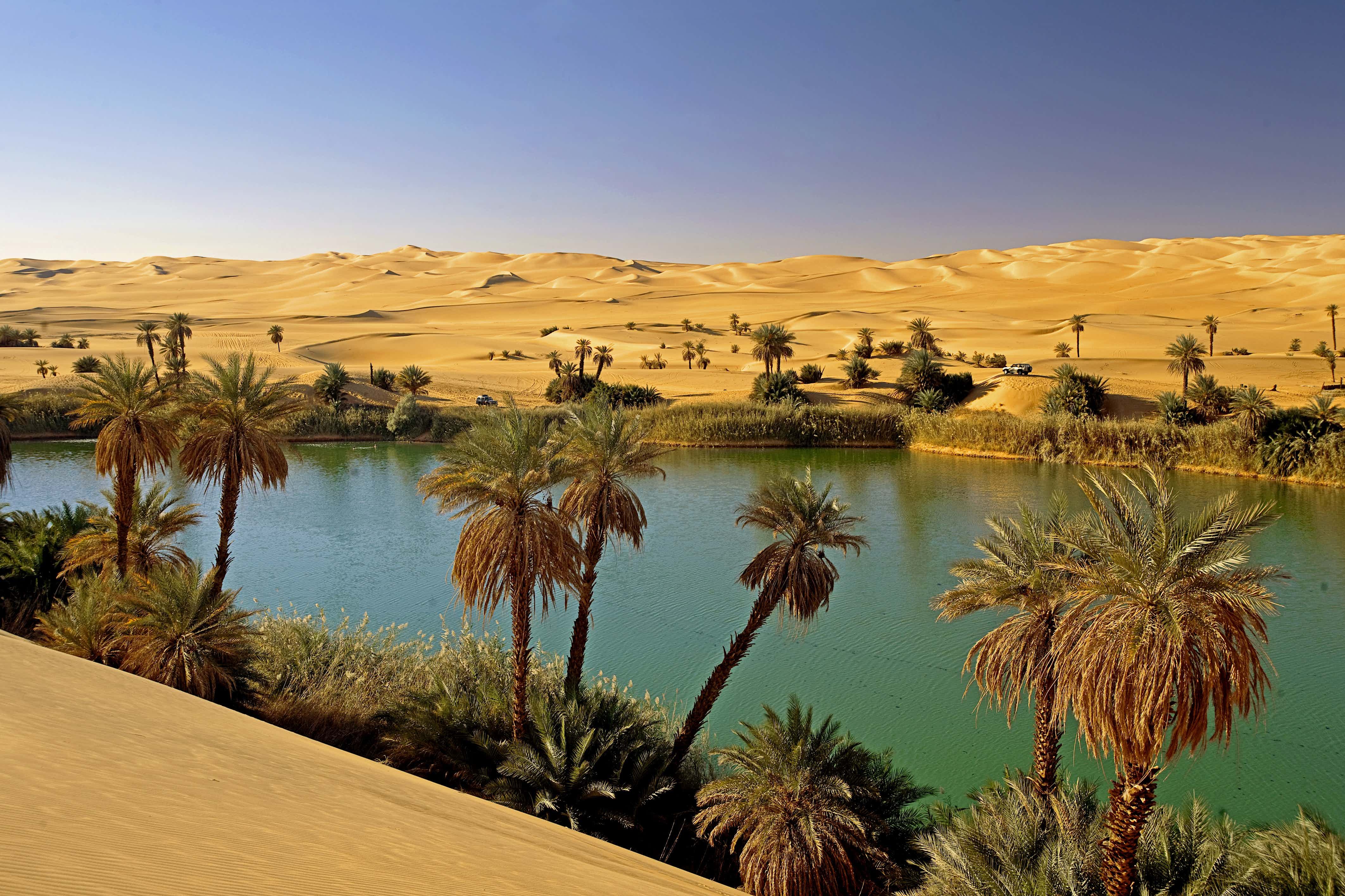 Покажи оазис. Пустыня сахара Оазис. Тунис Оазис в пустыне. Оазис Убари в Египте. Оазис Убари Ливия.