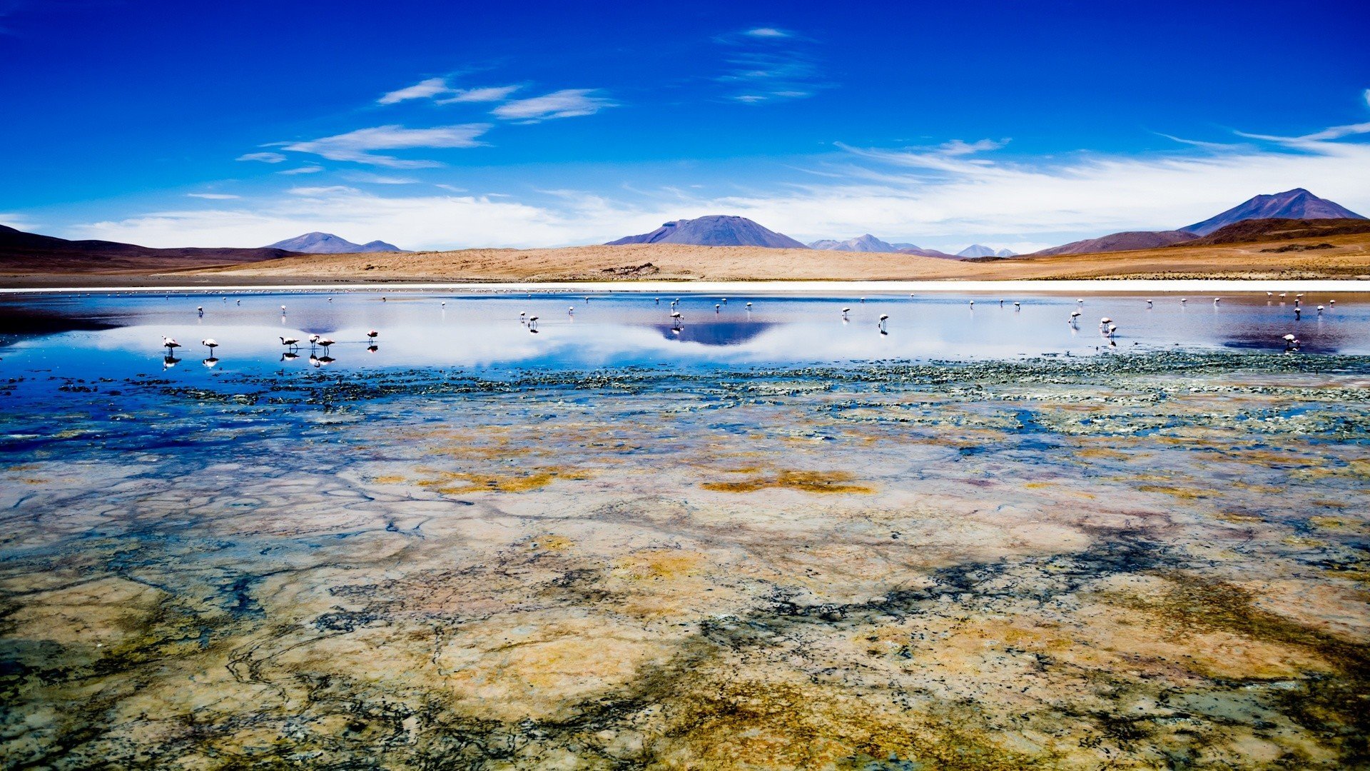 Боливия. Южная Америка Боливия. Боливия пейзажи. Озеро в Боливии. Боливия побережье.