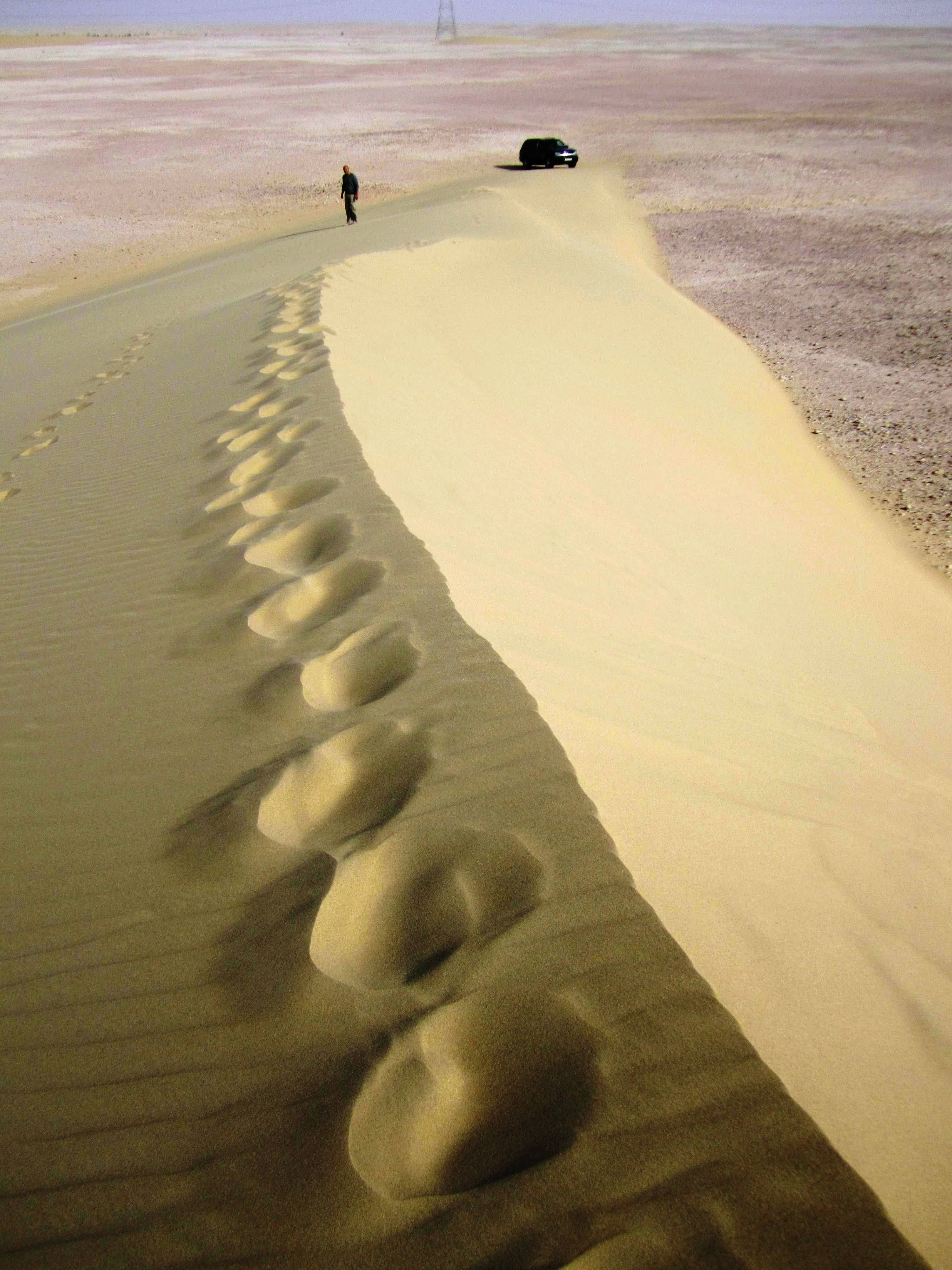 Саудовская аравия песок. Оазисы Саудовской Аравии. Пустыня руб-Эль-Хали Дубай. Дюны в Абу Даби. Пустыня Барханы Оазис.