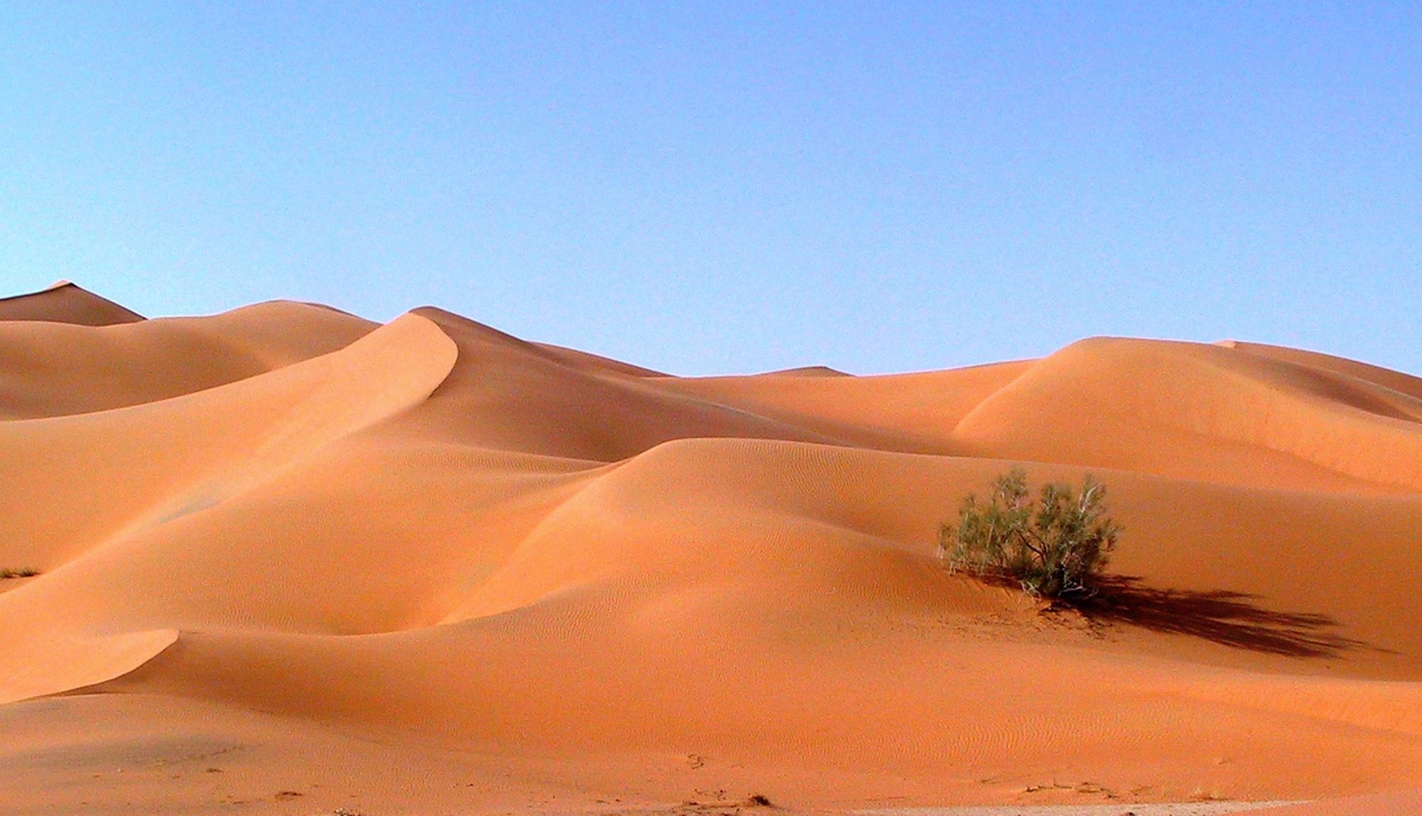 Саудовская аравия песок. Пустыни Аравийского полуострова. Пустыня Калахари Оазис. Пустыни Аравийского полуострова Оазис. Барханы Оазис Саудовская Аравия.