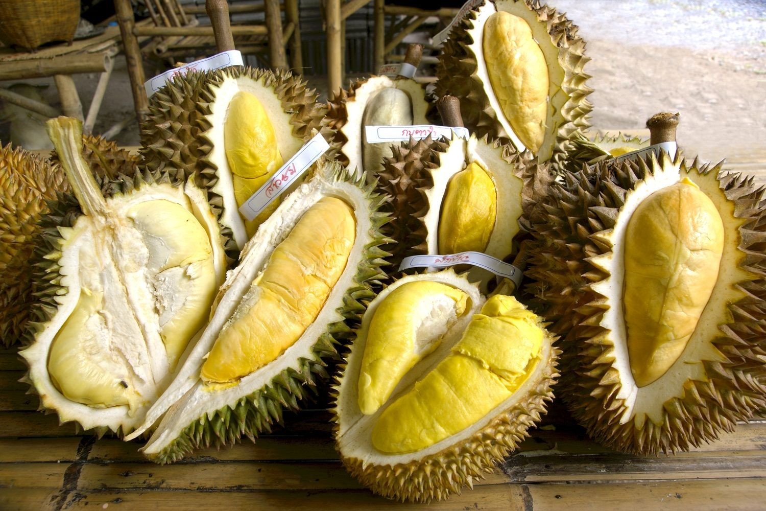 Можно ли из тайланда вывозить фрукты. Фрукт Тайланда дуриан. Дуриан Бангкок. Дуриан цибетиновый. Дуриан в Тайланде.