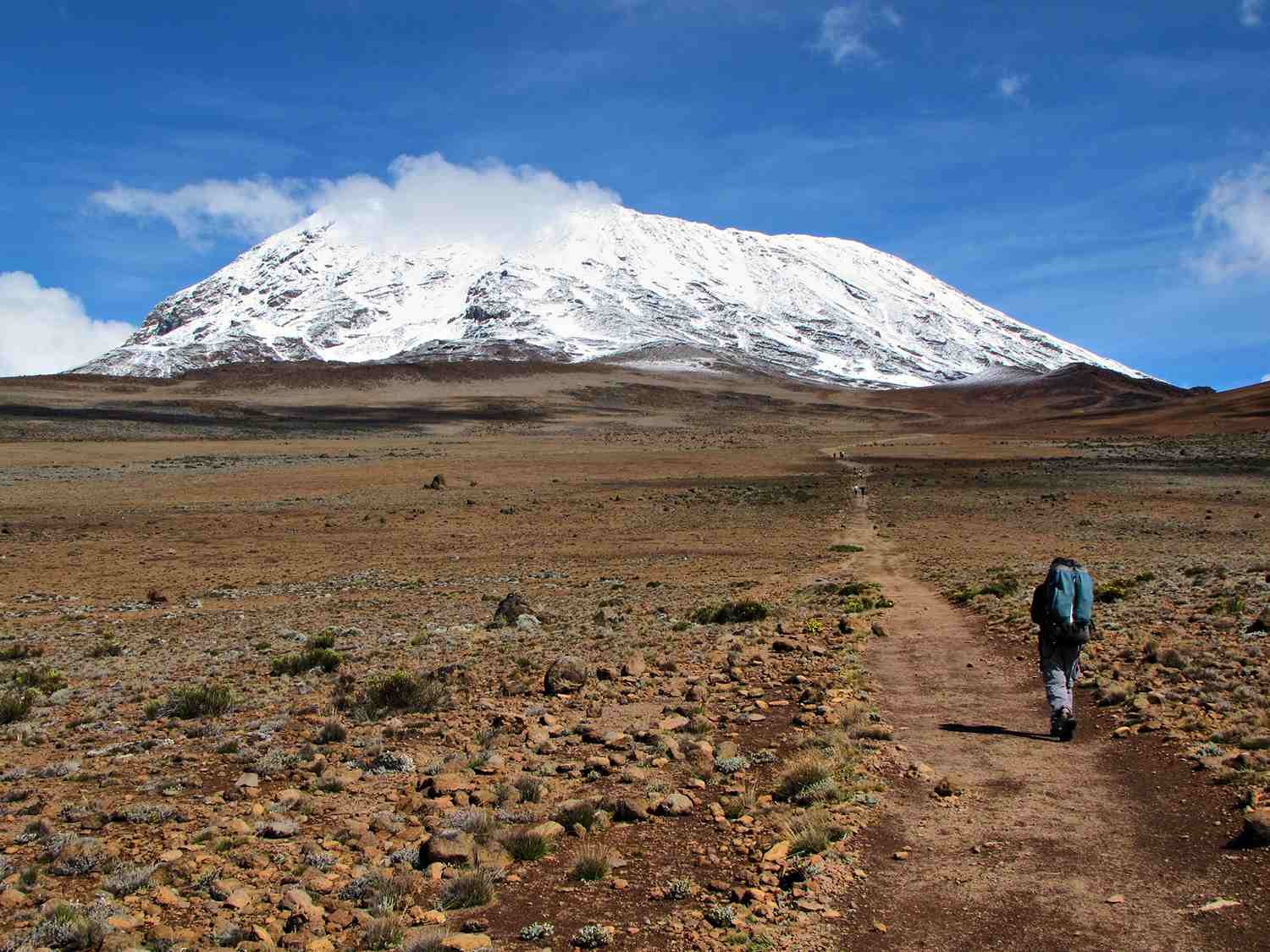 Самые высокие африки. Танзания гора Килиманджаро. Танзания вулкан Килиманджаро. Стратовулкан Килиманджаро Танзания. Гора Килиманджаро в Танзании, Африка.