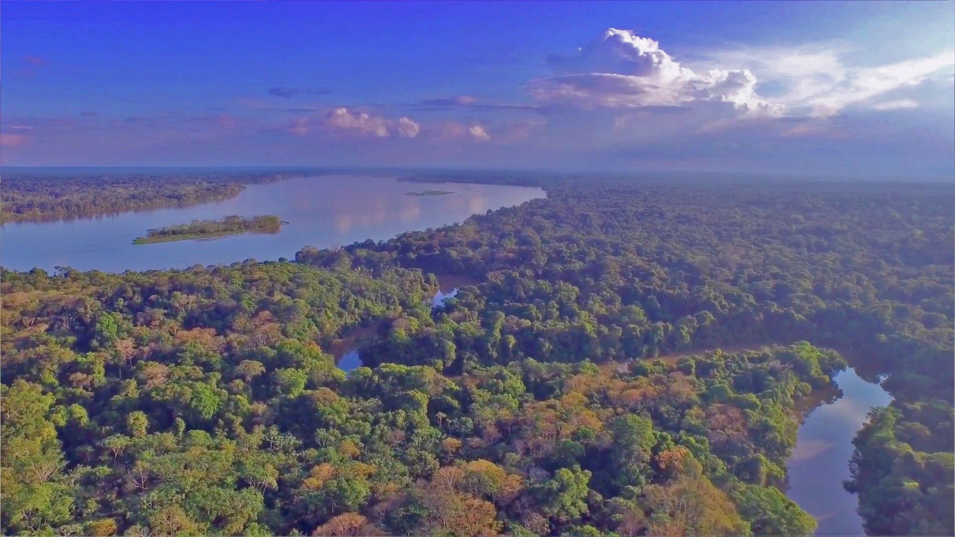 Какие крупные озера находятся на амазонской низменности. Река Амазонка Ориноко. Ориноко Бразилия. Конго река Ориноко река. Бразилия Амазонская низменность.