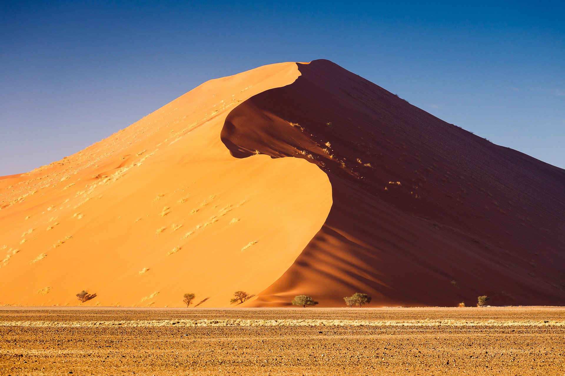 Неживая природа в пустыне. Песчано-эоловая пустыня Сахары. Пирамидные дюны. Бархан Сарыкум. Дюны и Барханы.