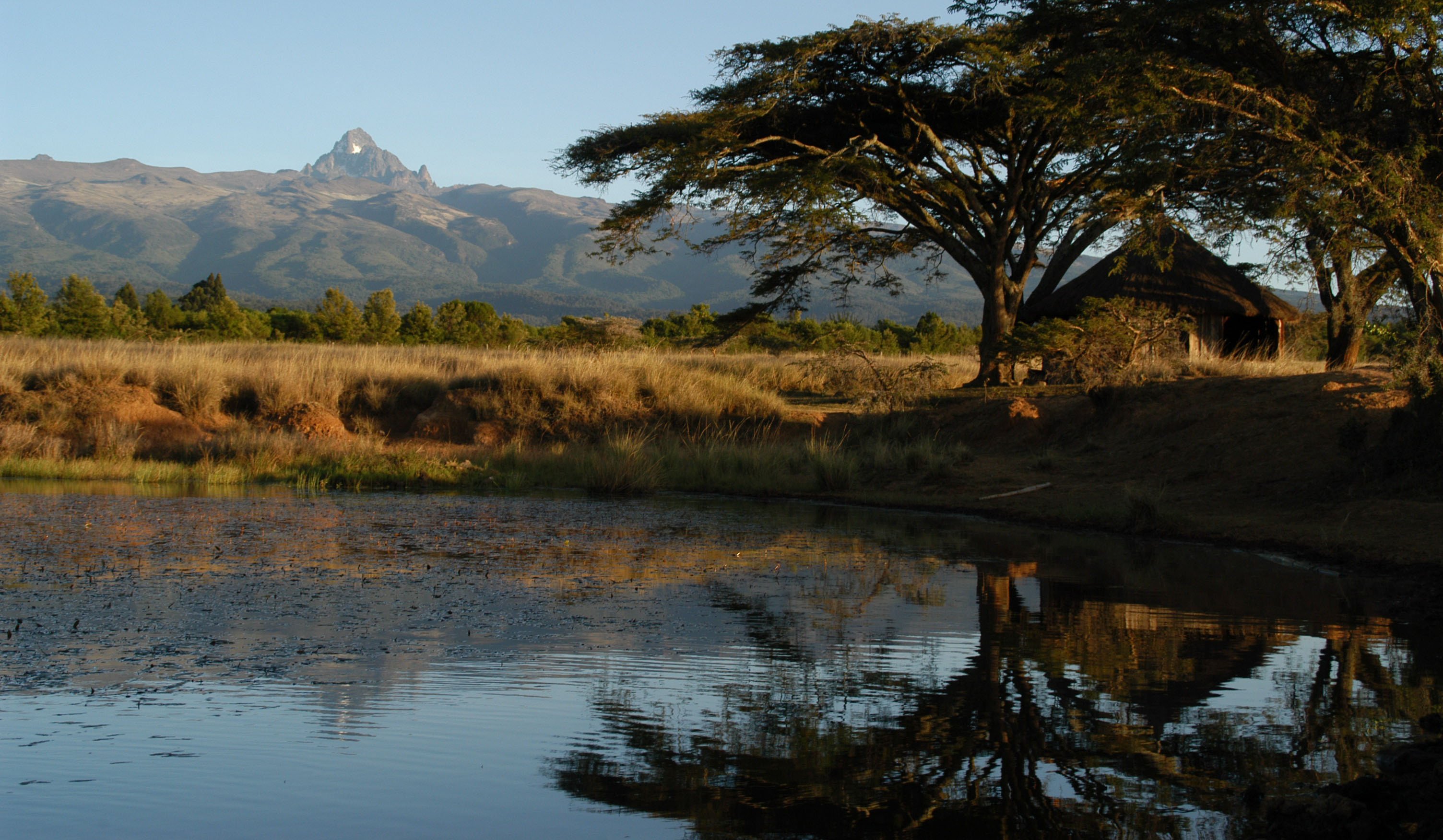 Острова юго восточной африки. Восточная Африка Кения. Национальный парк Килиманджаро. Долина Олифант Ривер ЮАР. Кения ЮАР.