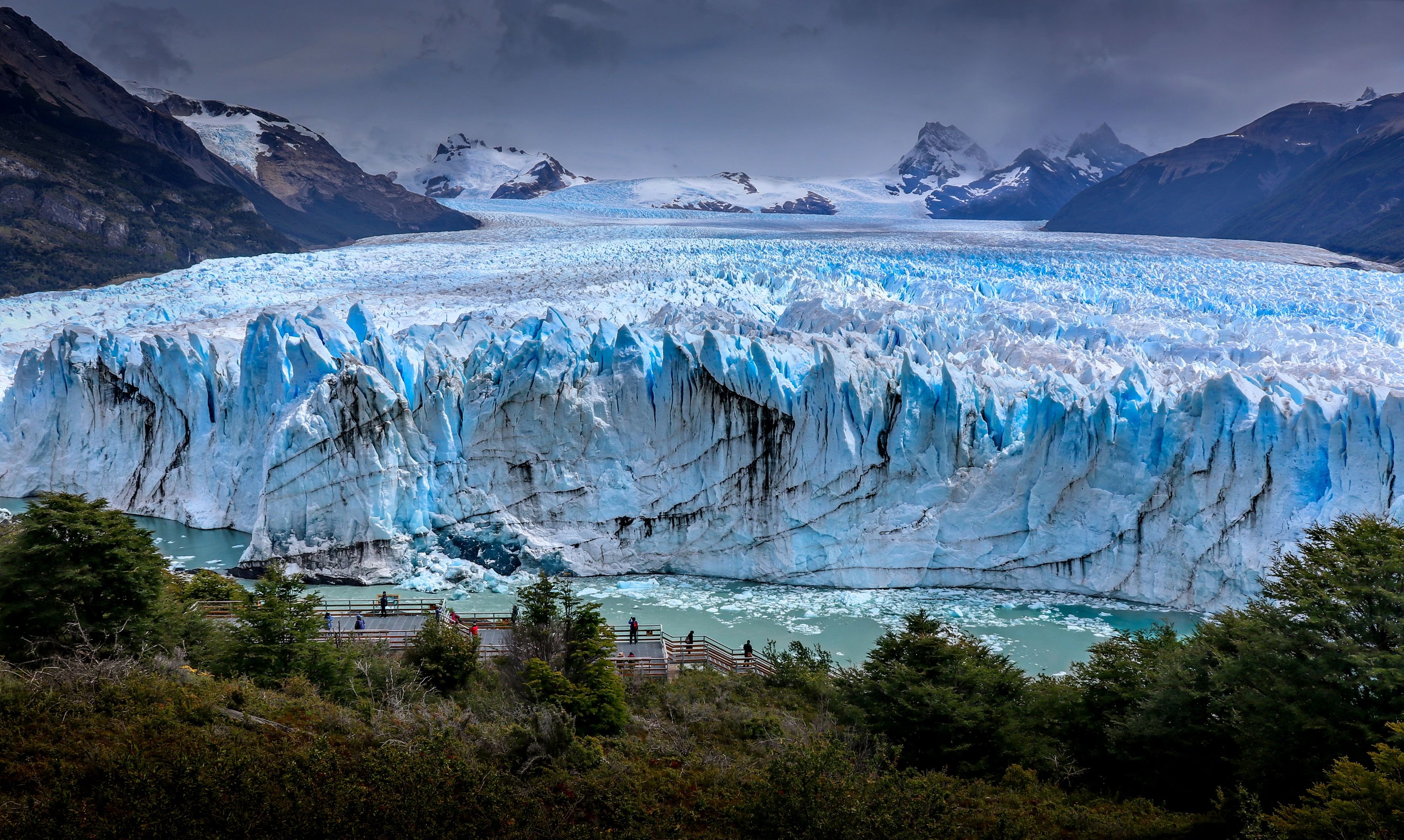 Acompañantes Argentina