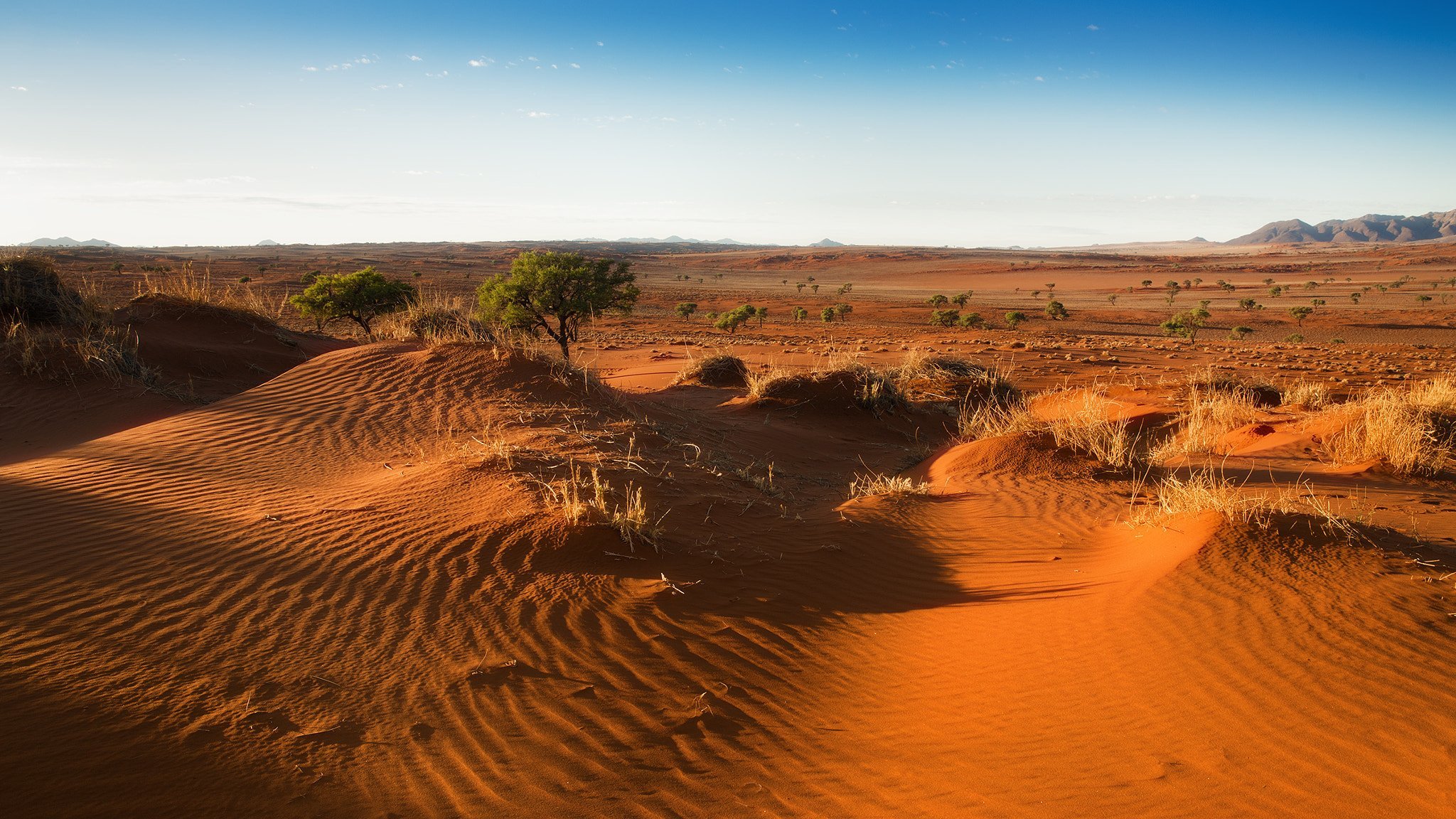 Внутренние воды полупустынь и пустынь. Африка пустыня Калахари. Пустыни: сахара, Калахари, Намиб в Африке. Котловина Калахари. Полупустыня Калахари.
