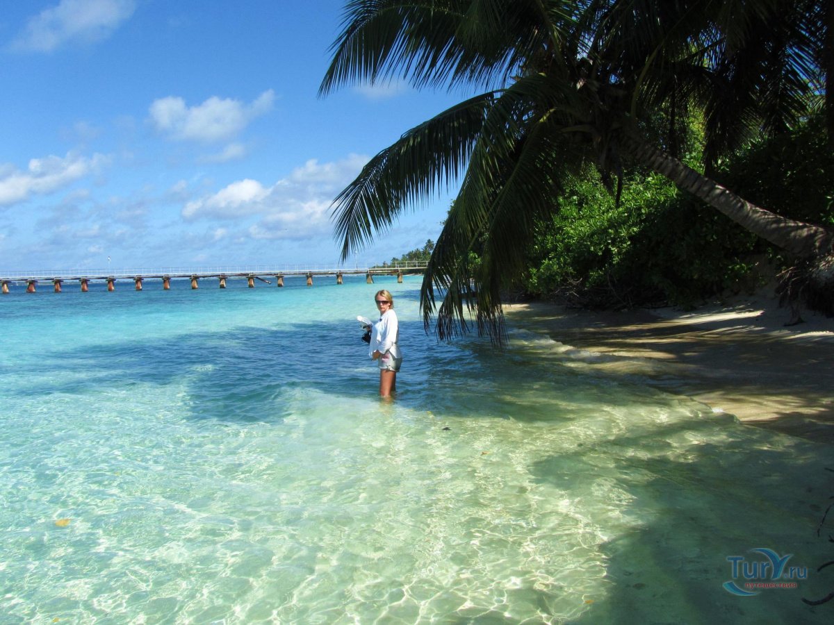 Equator village maldives. Мальдивы Экватор. Экватор Виллидж Мальдивы. Ган Айленд Мальдивы. Остров Ган на атолле Адду.