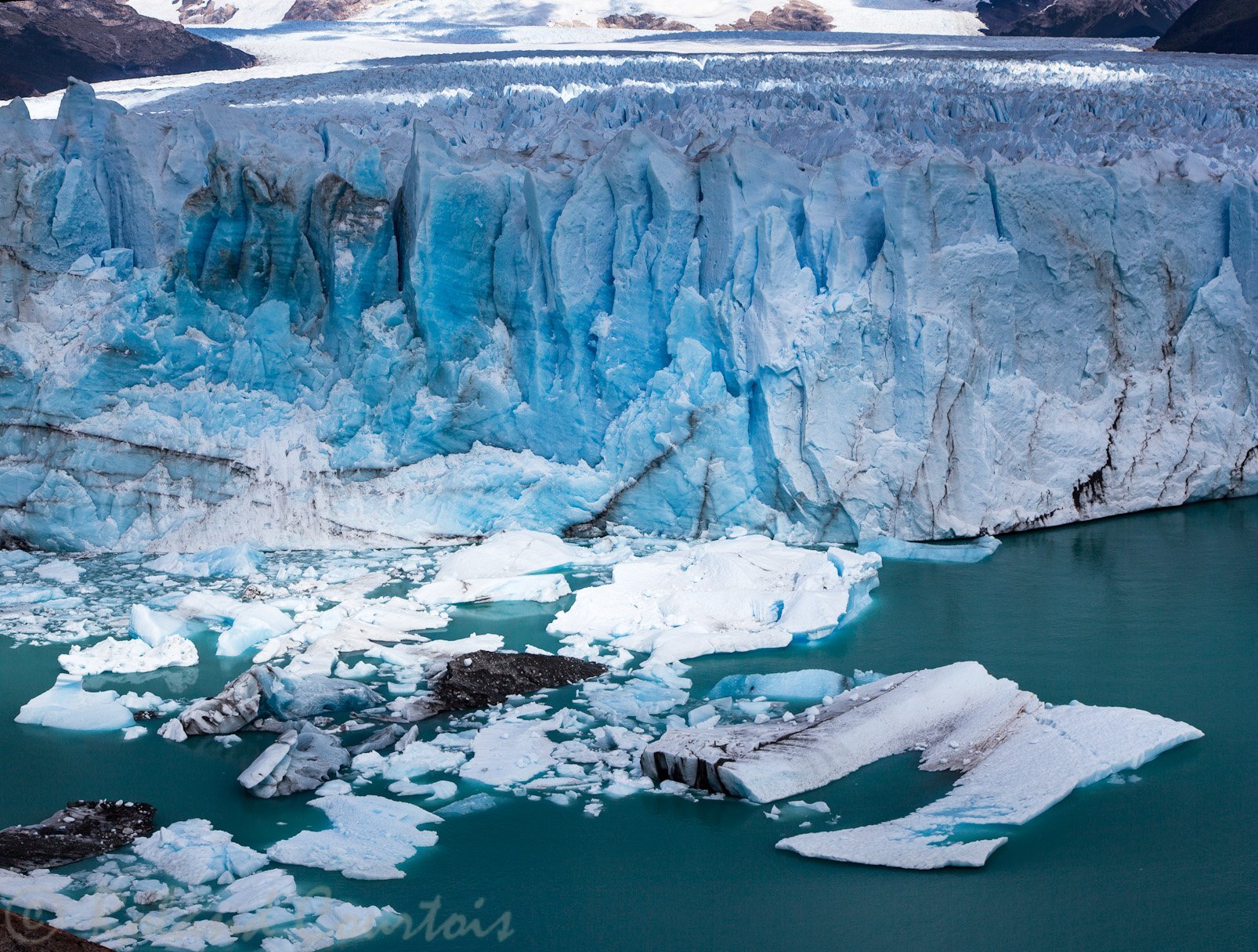 Самую большую площадь занимают ледники. Ледник Перито-Морено. Ледник Перито Морено прорыв. Ледник Майли. Ледник Ламберта Антарктида.