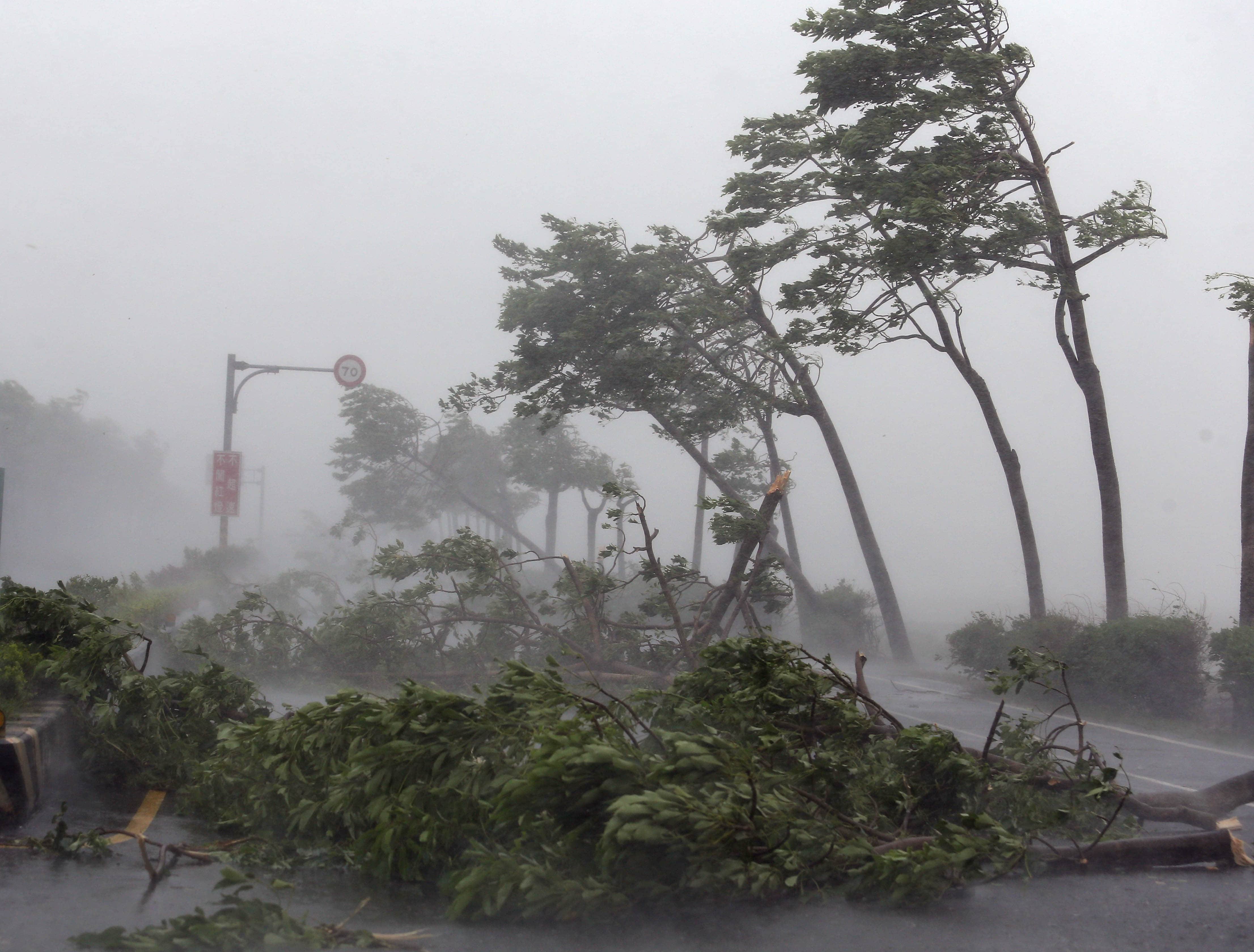 Тихая колыбель грозных тайфунов