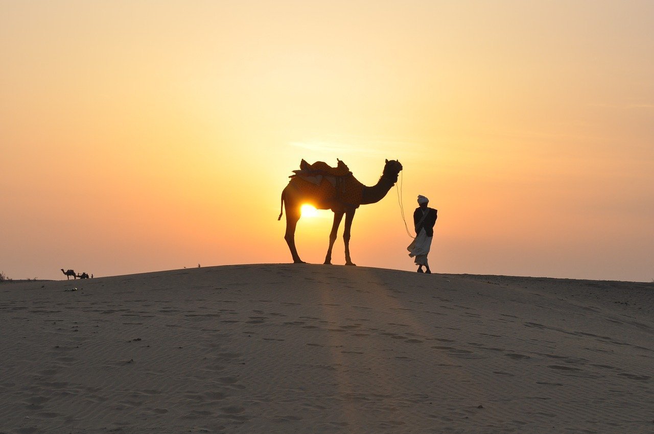 Далекий караван. Мехари верблюд. Туркмения Каракум Верблюды. Бедуин на верблюде. Пустыня Кызылкум Верблюды.