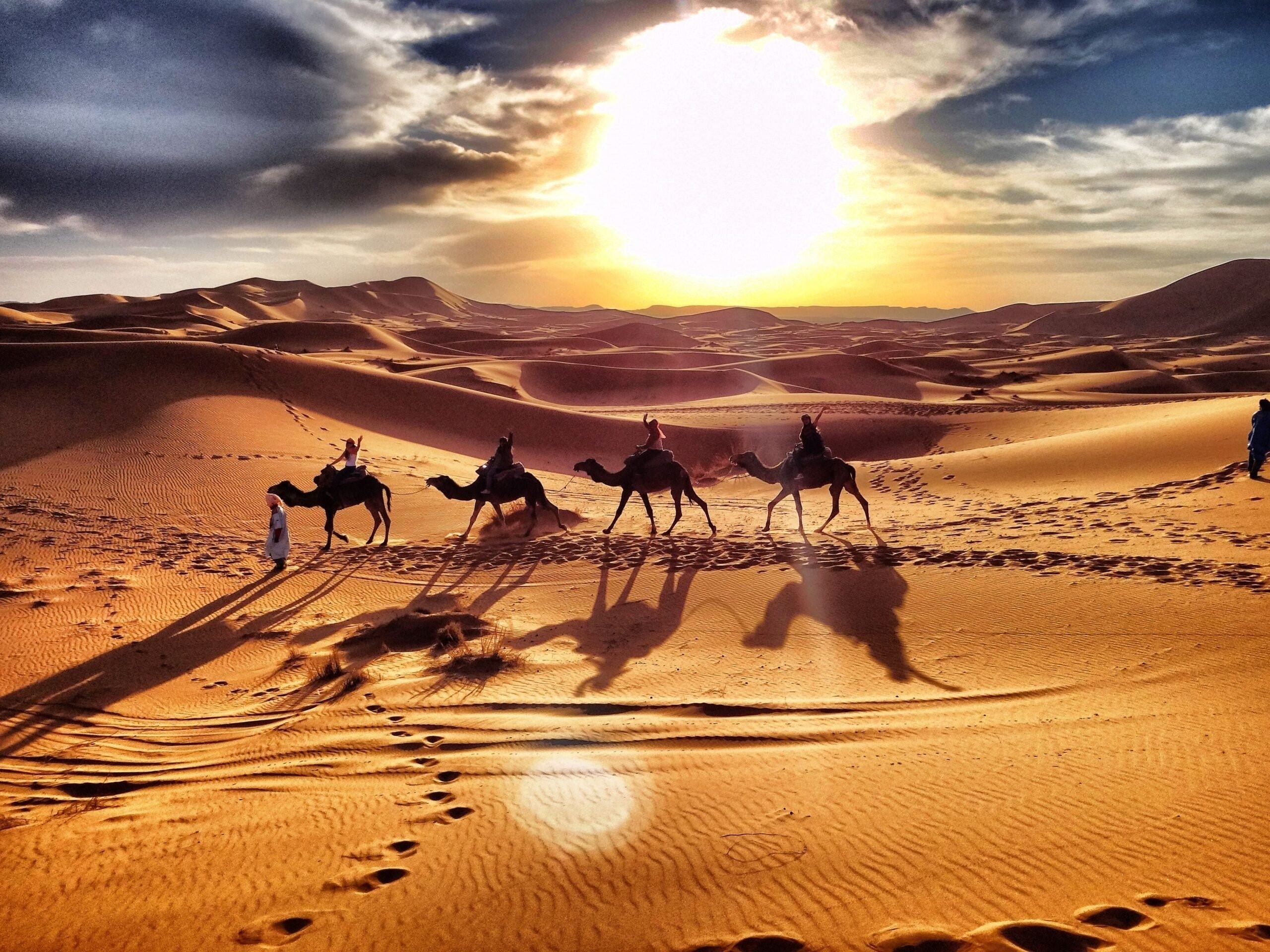 Merzouga Марокко. Марокко.сахара.Мерзуга.. Марокко пустыня сахара. Караван марокканских верблюдов дромедаров.
